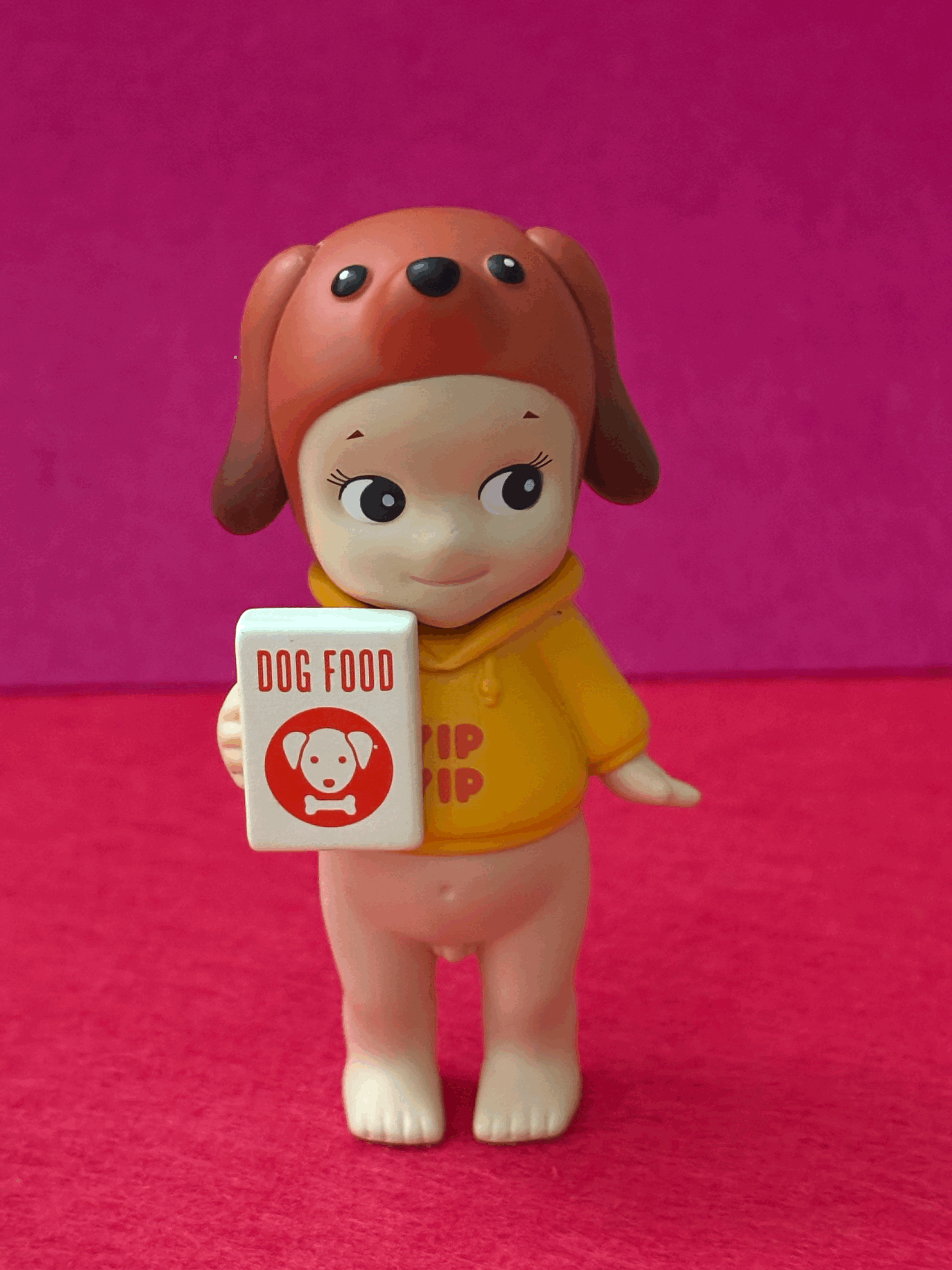 Dog Time Series Dachshund