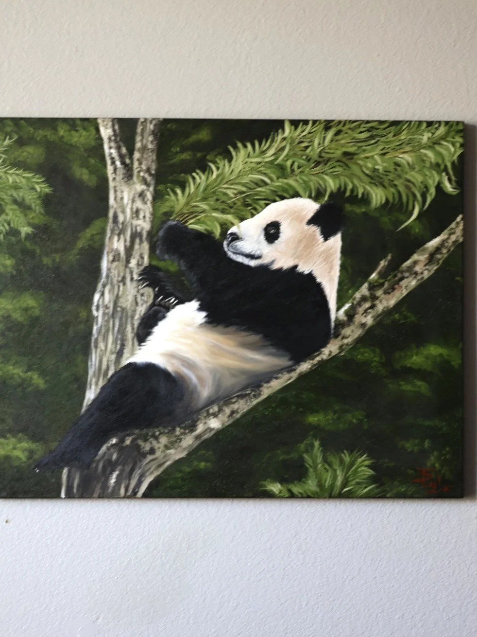Panda in tree