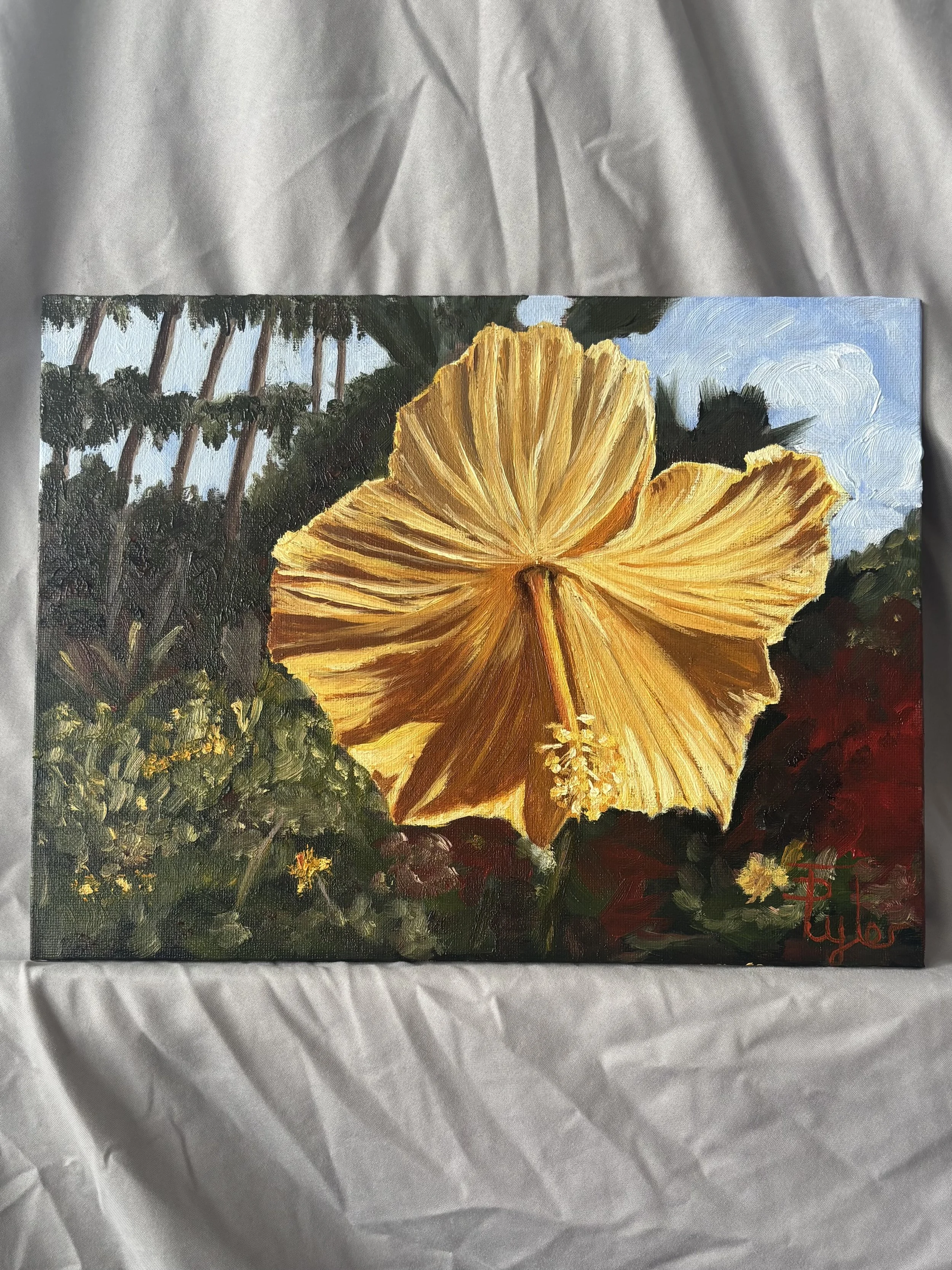 Yellow Hibiscus