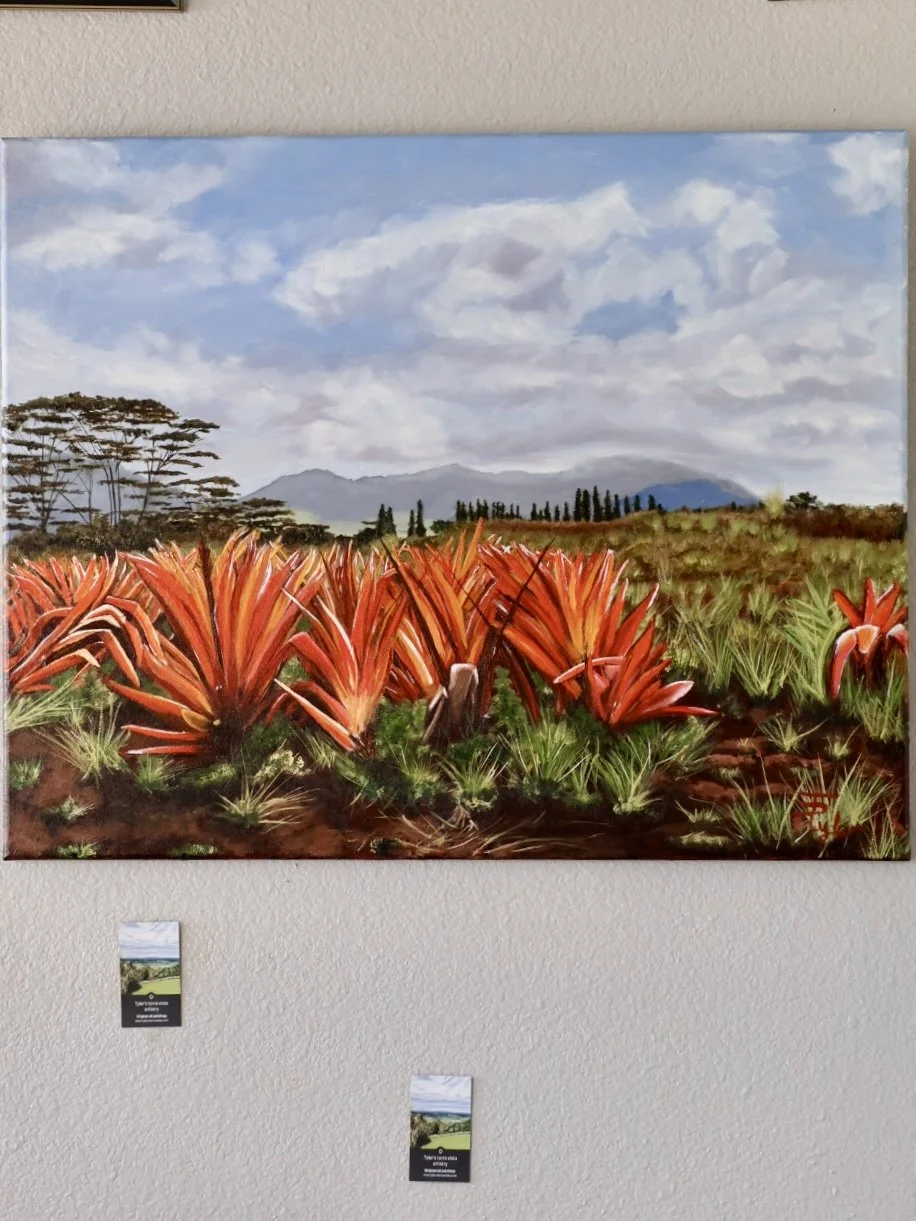 Dole Plantation
