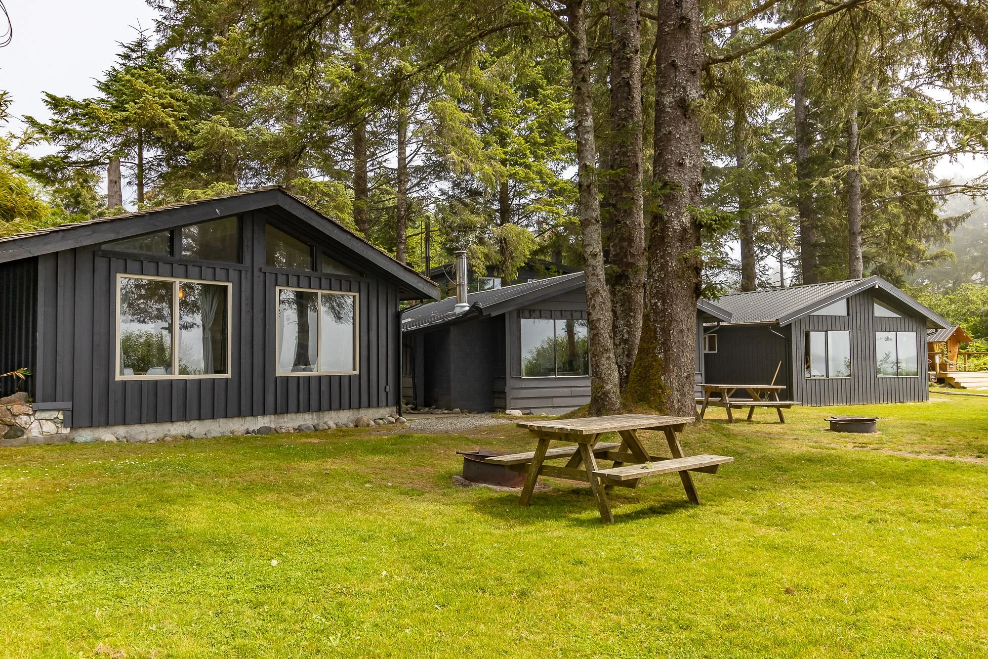 A group of black wooden cabins with large windows in a forested area with tall trees, surrounded by a grassy yard and outdoor picnic tables.
