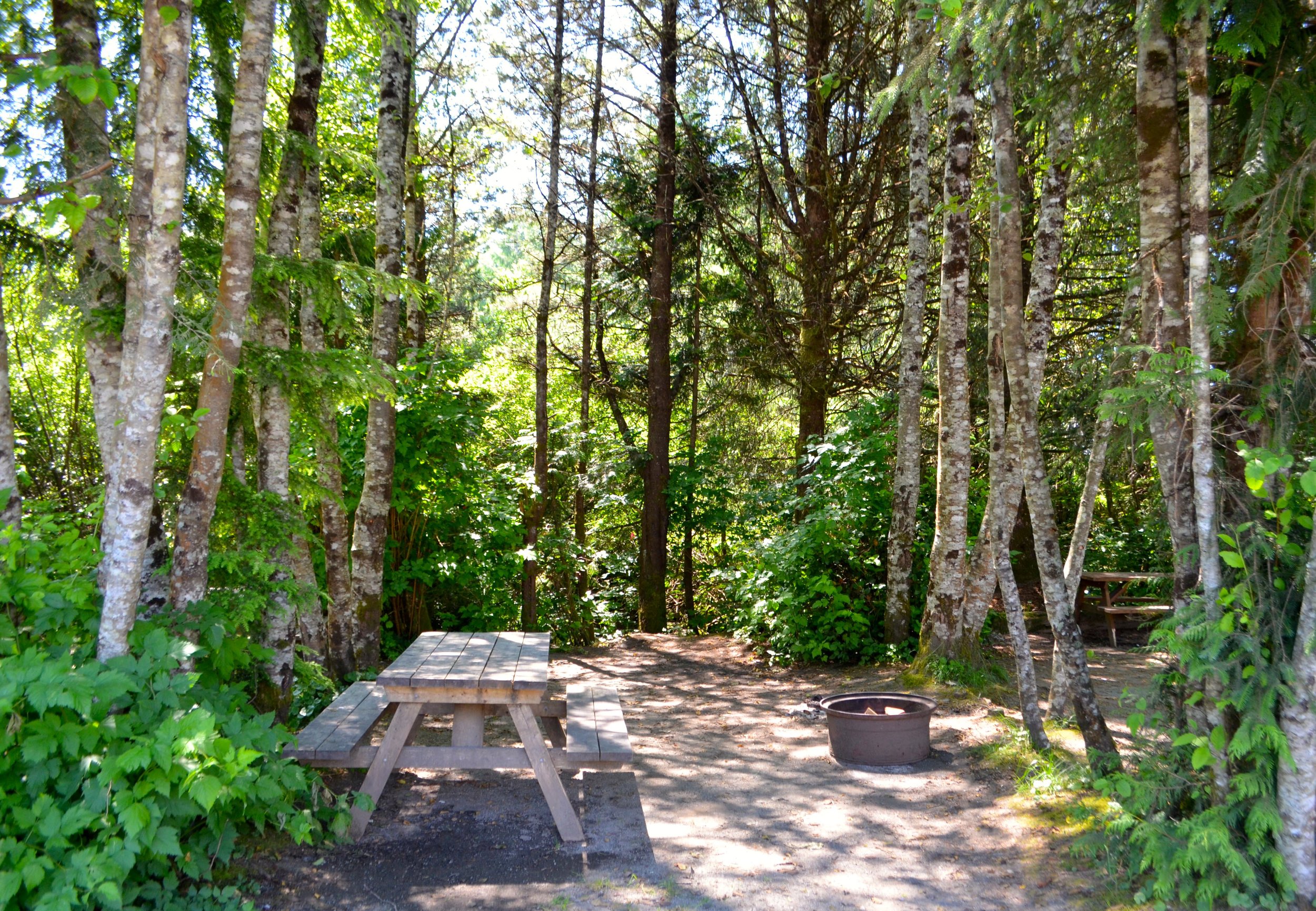 A wooded camping area with a wooden picnic table, a metal fire ring, and a picnic table partially visible among trees and greenery.