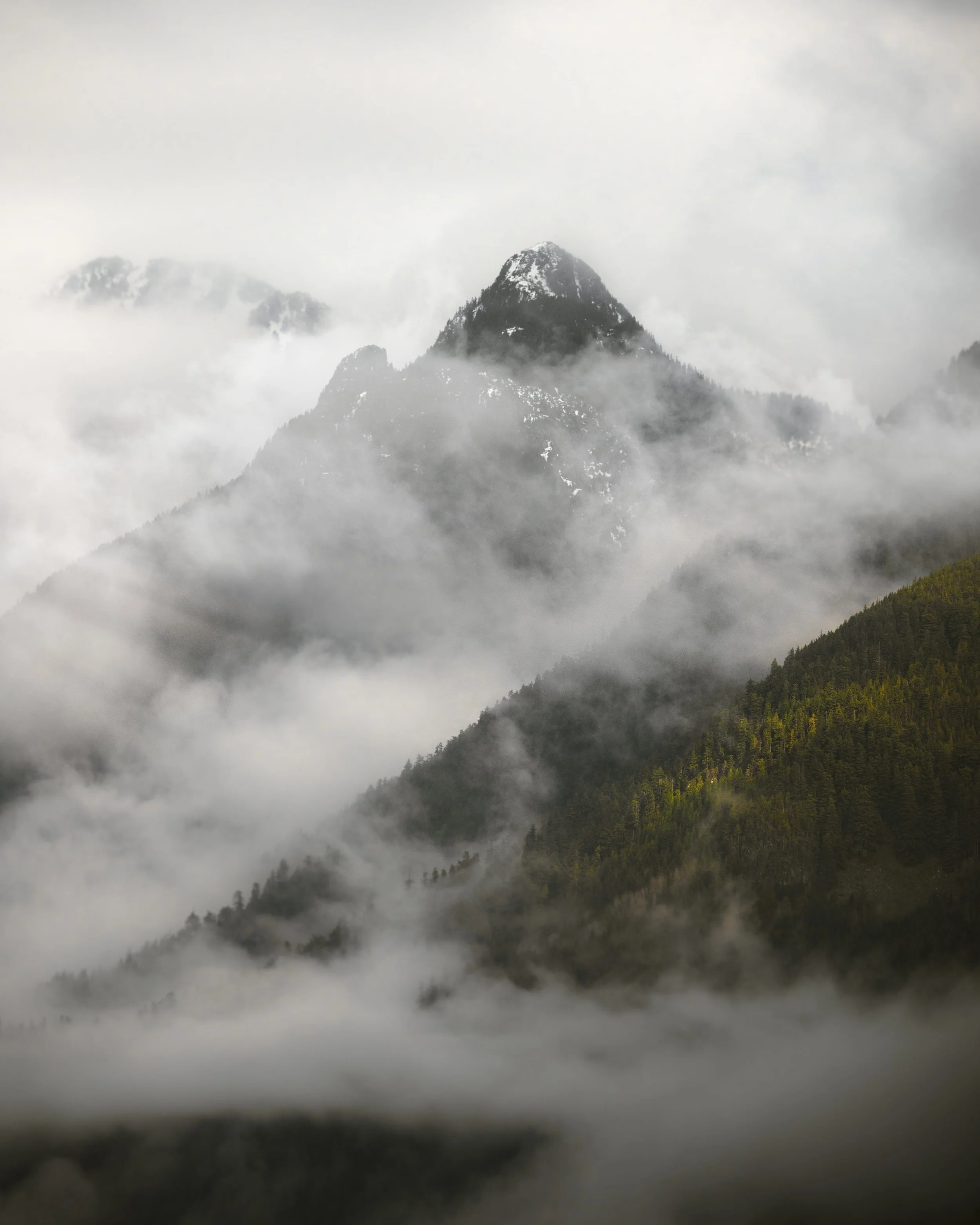 Snow-capped mountain peaks partially obscured by clouds and mist, with forested slopes below