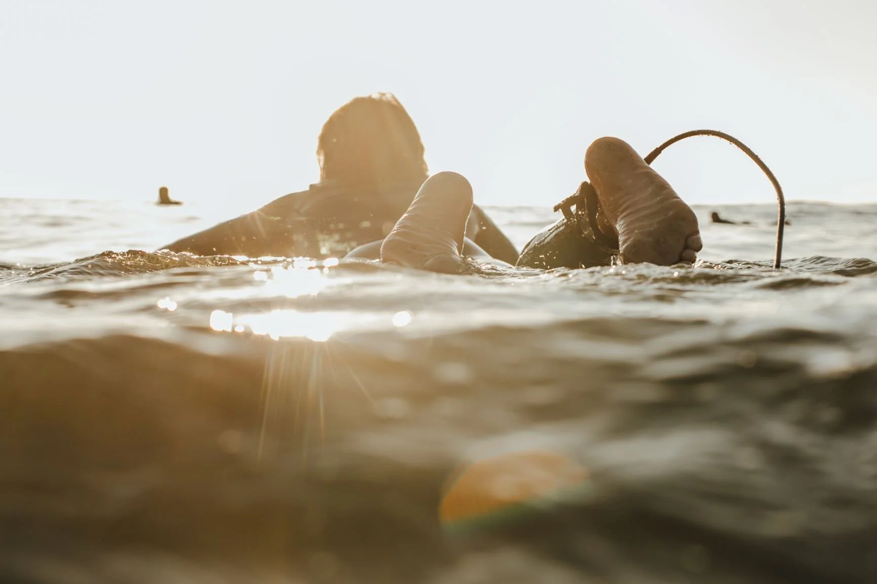 A person in the ocean holding a large stingray with sunlight reflecting off the water.