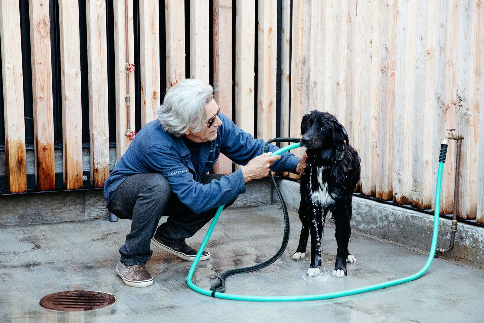 Dog-Friendly Stays in Tofino | MacKenzie Beach Resort
