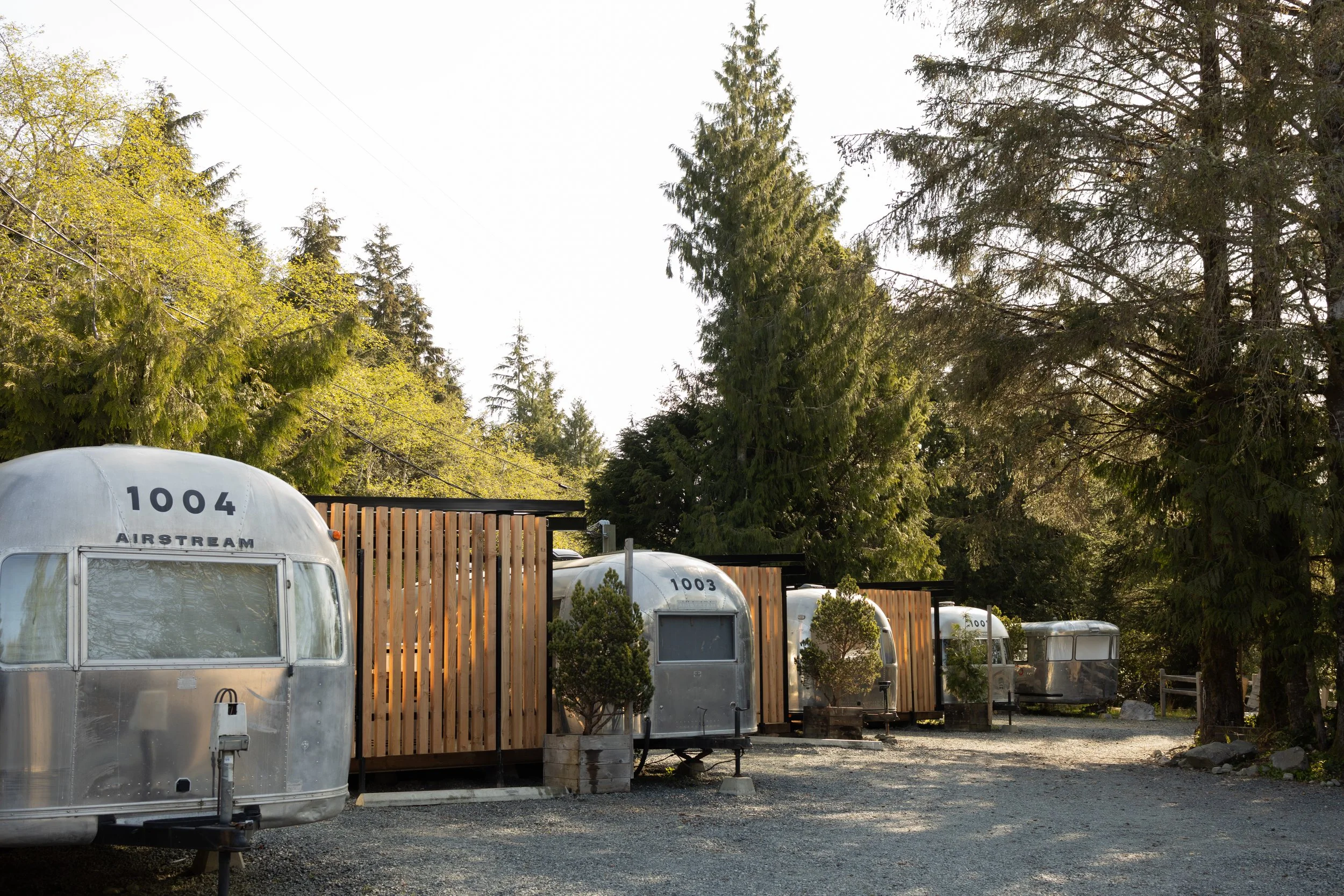 A row of vintage silver campers with numbers 1004 and 1003, situated on a gravel lot surrounded by trees and potted shrubs, with a bright sky above.