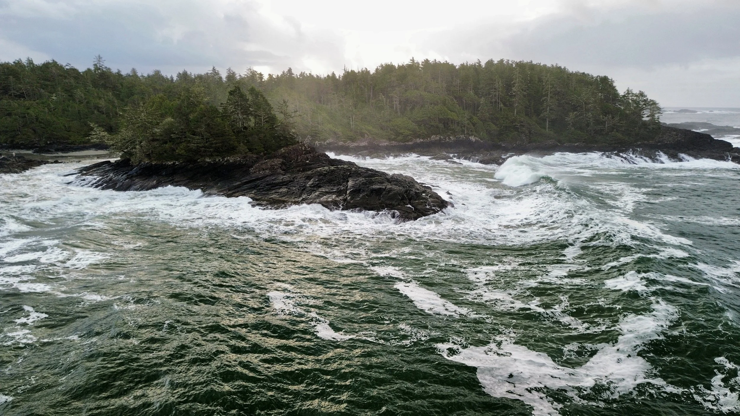 Ocean waves crashing against rocks near a forested coastline on a cloudy day.