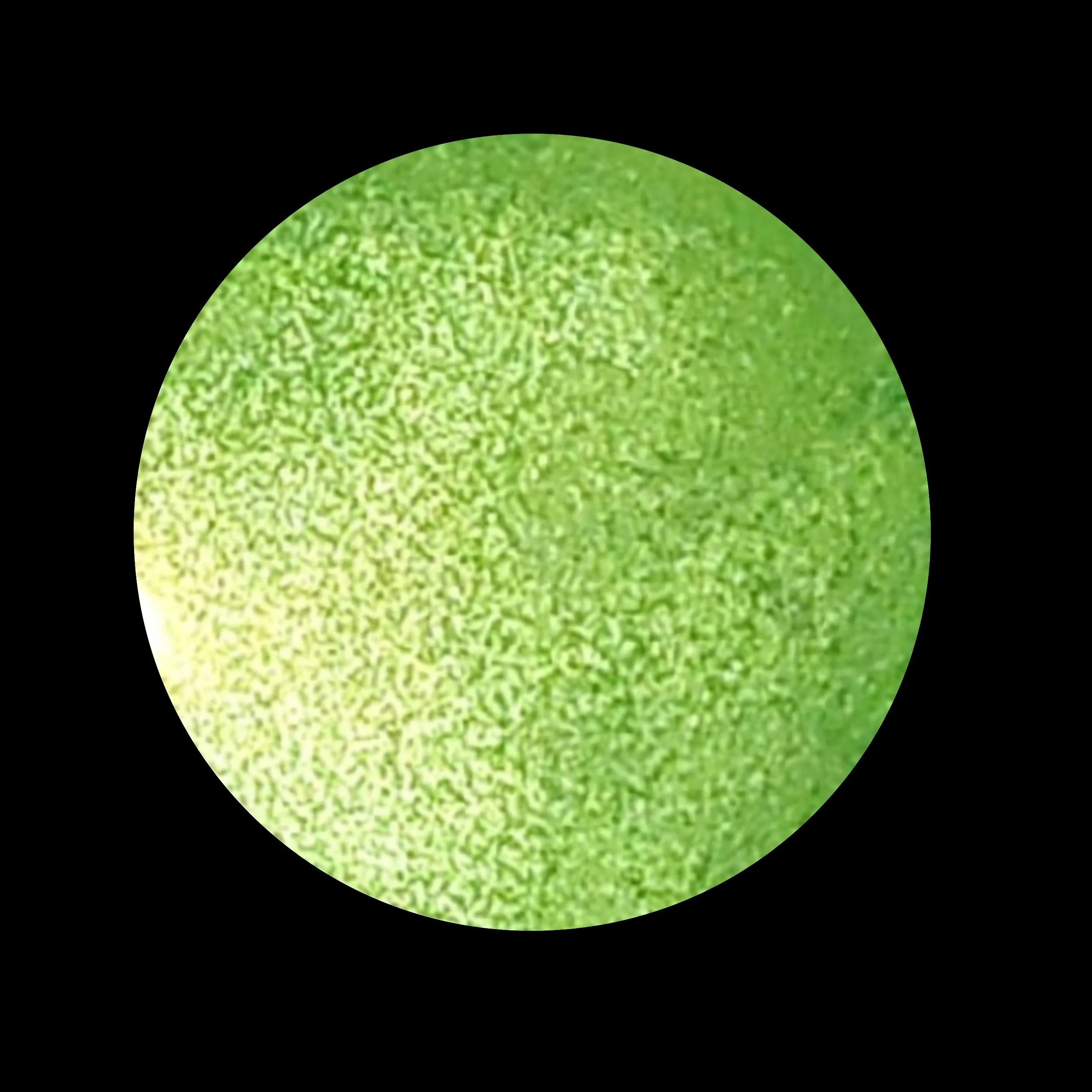 processed_4_20260517_005624_0003.jpg