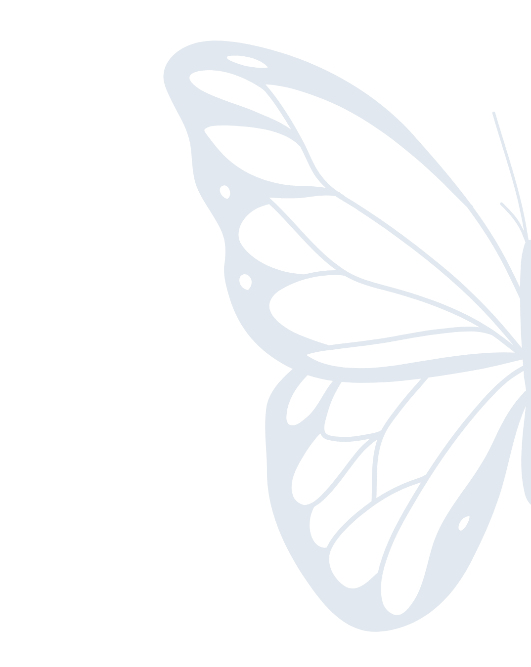 A stylized illustration of a butterfly with black and white patterned wings.