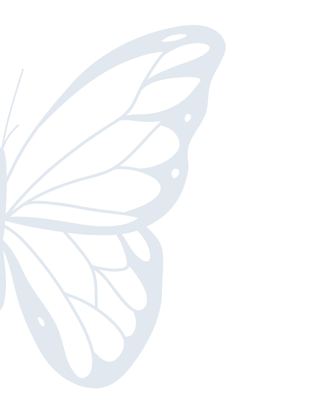 Outline drawing of a butterfly wing with black and white patterns on a black background.