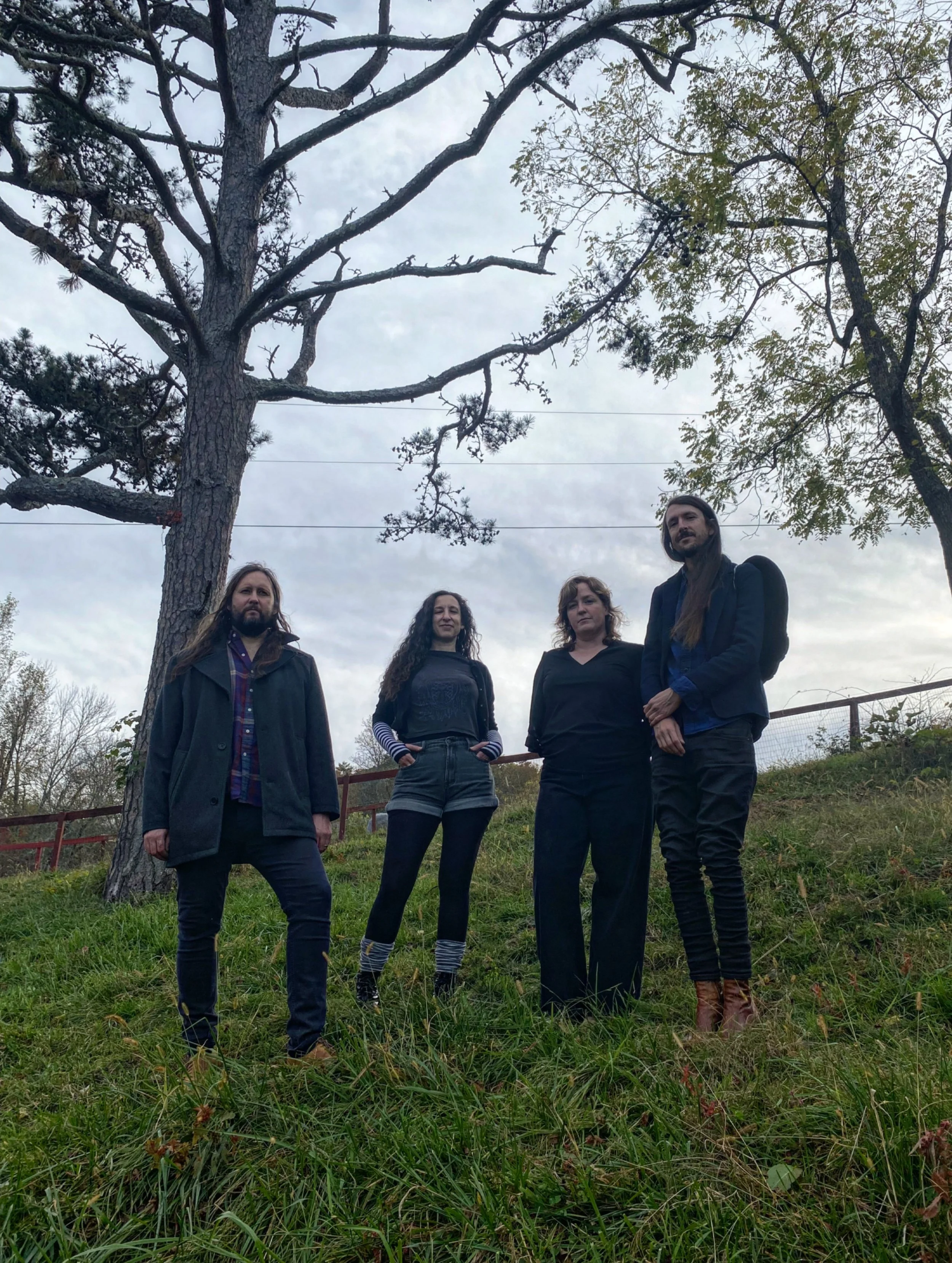 Dark Turn of Mind: An Americana Celebration