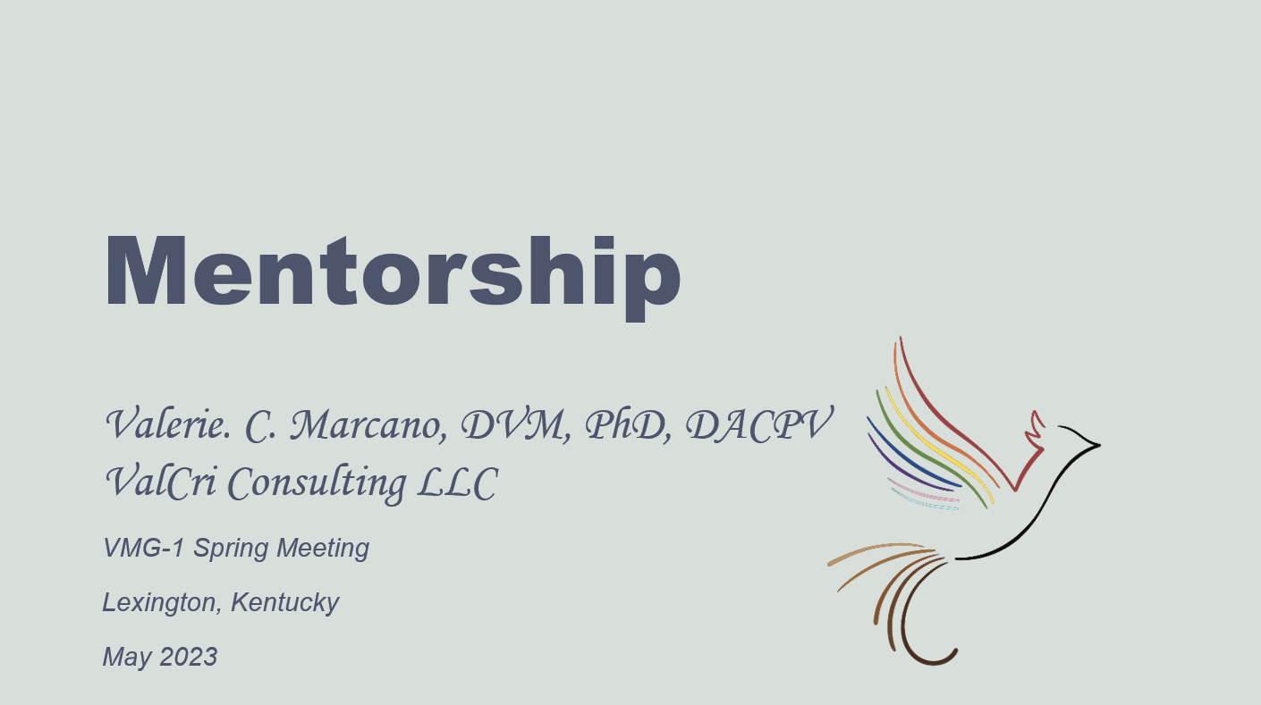Presentation 2023 VMG Inclusive Mentorship.png