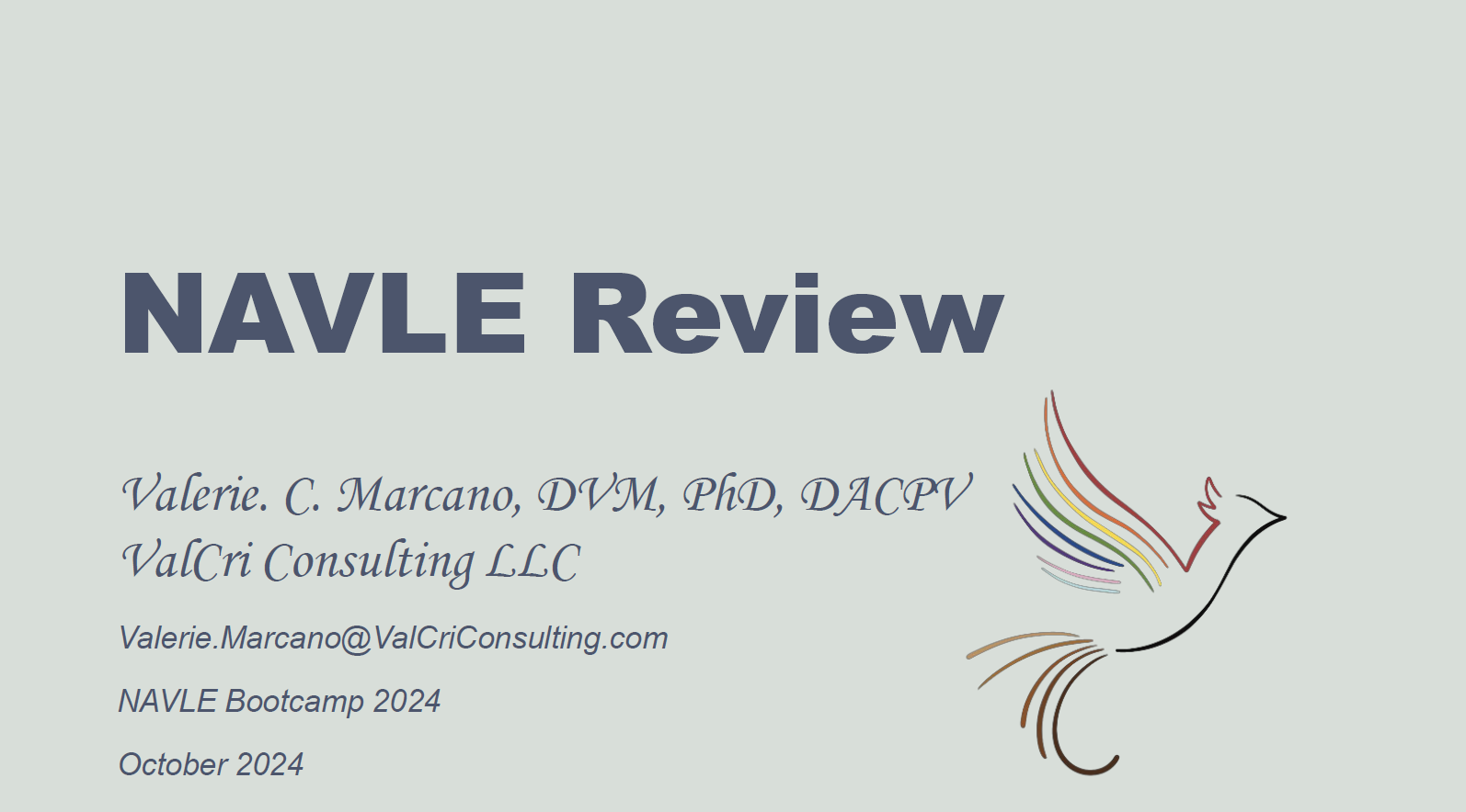 Presentation 2024 NAVLE Review Bootcamp.png