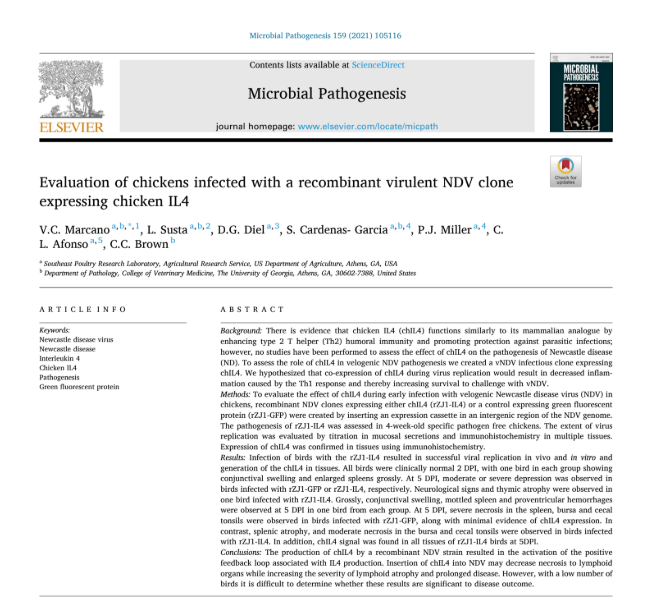 Journal Article 2021 Eval of chickens infected with recominant NDV IL4.png