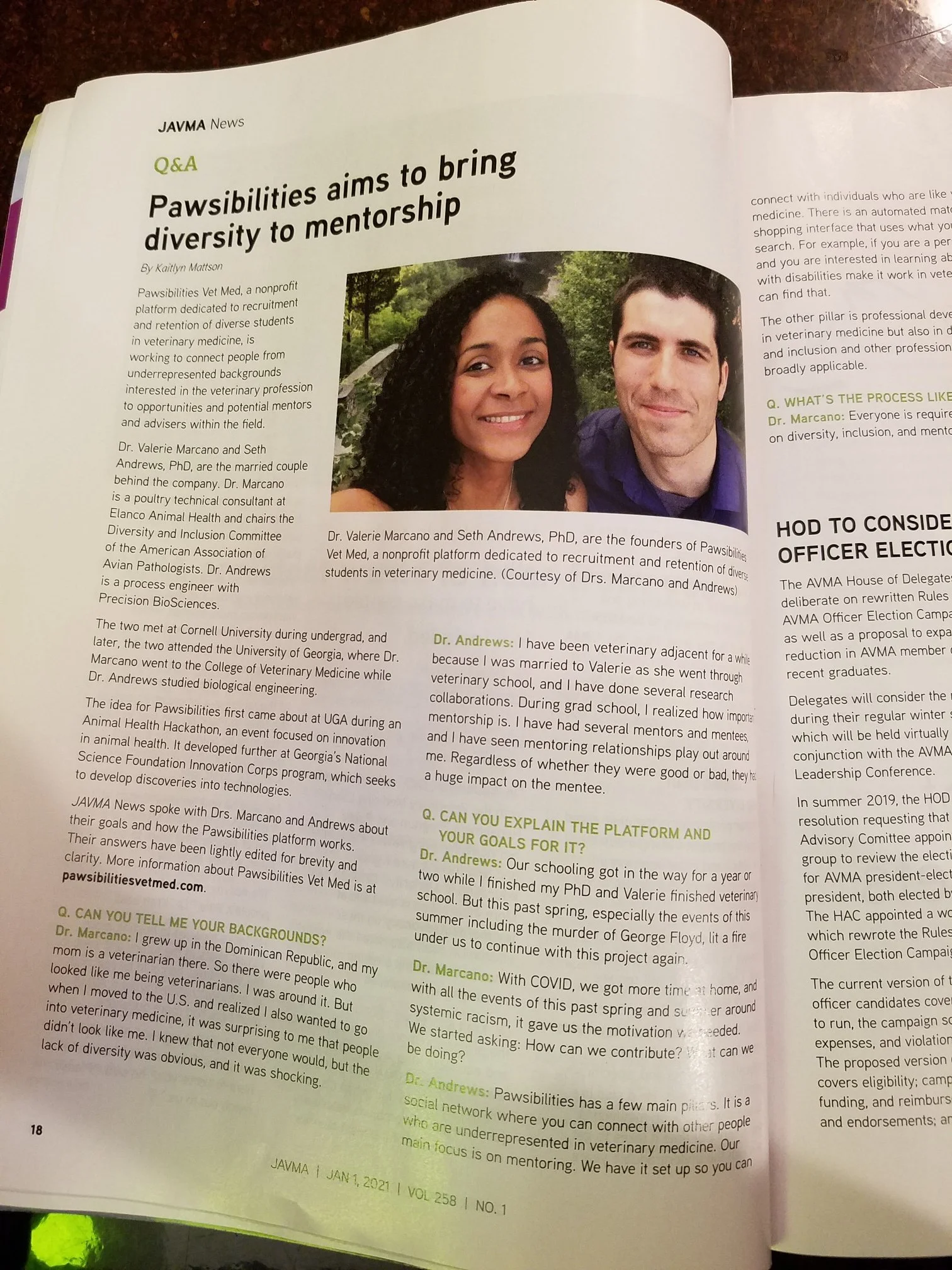 Magazine Article 2021 JAVMA.JPG