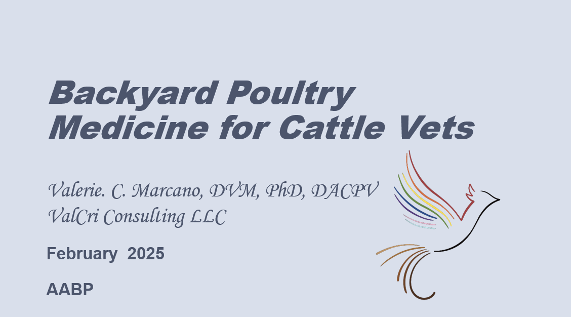 Presentation 2025 AABP Poultry for Cattle Vets.png