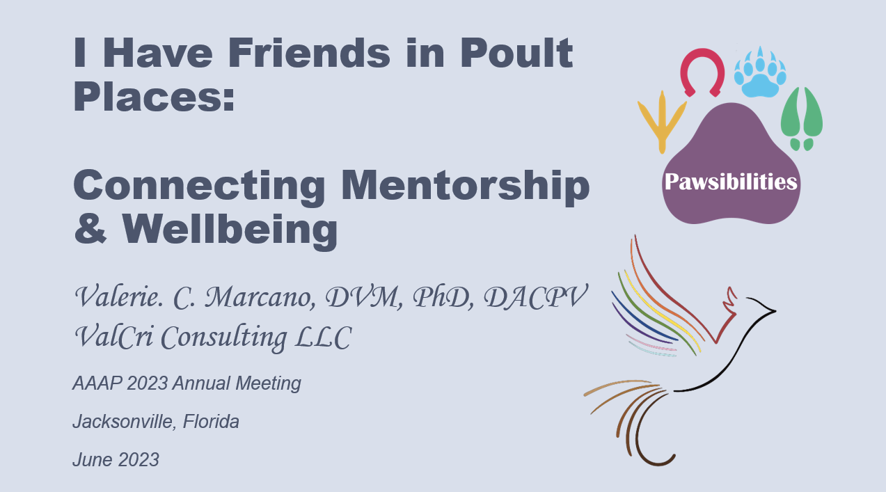 Presentation 2023 AAAP Mentorship.png