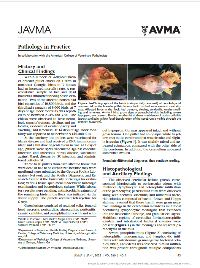 Journal Article 2022 Pathology in Practice.png