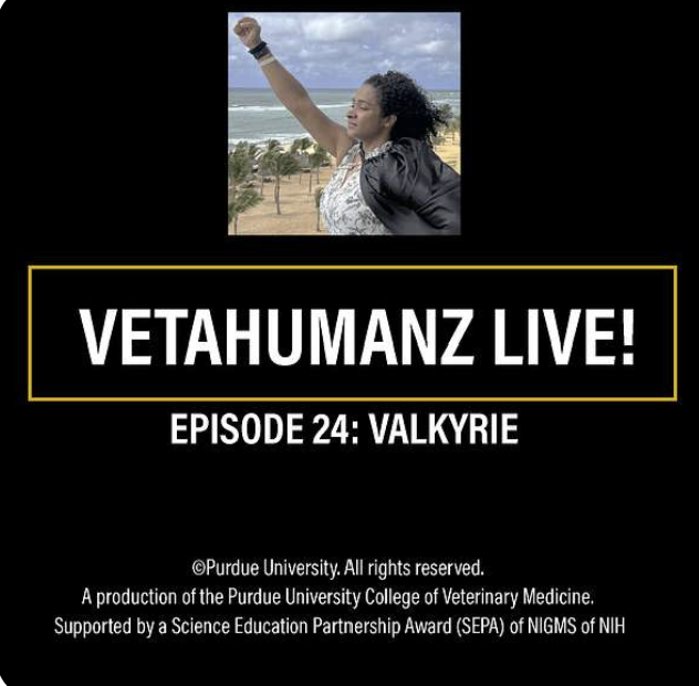 VetaHumanz Live.png