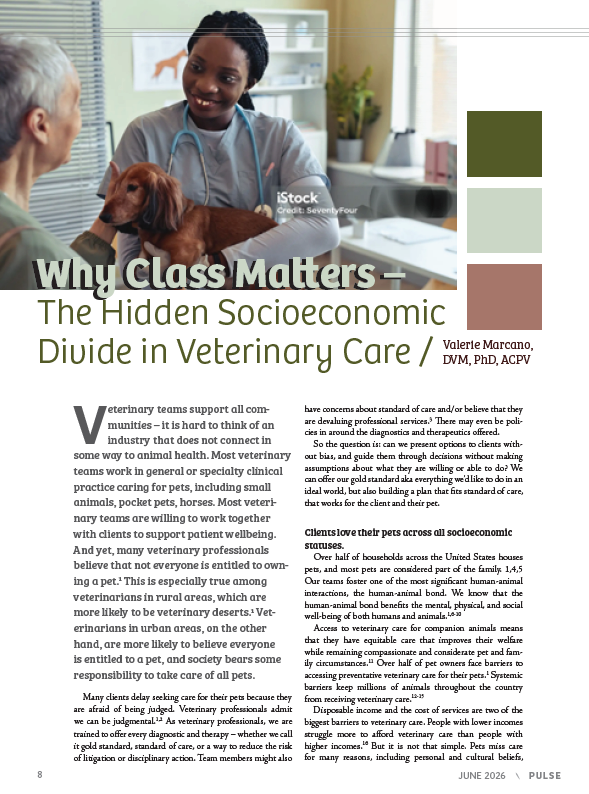 Magazine Article 2026 SCVMA.png