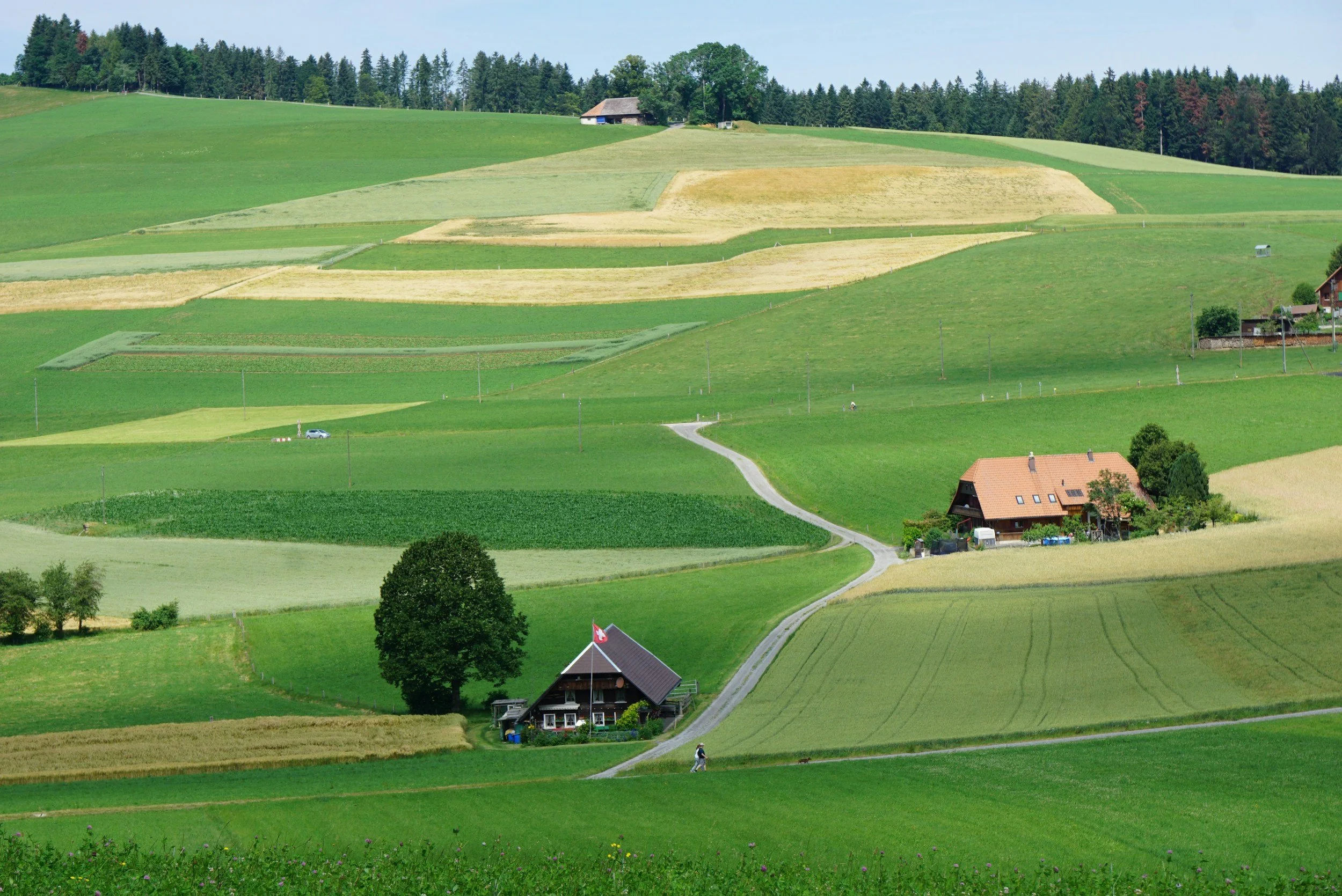 Leitungsreinigung in der Landwirtschaft