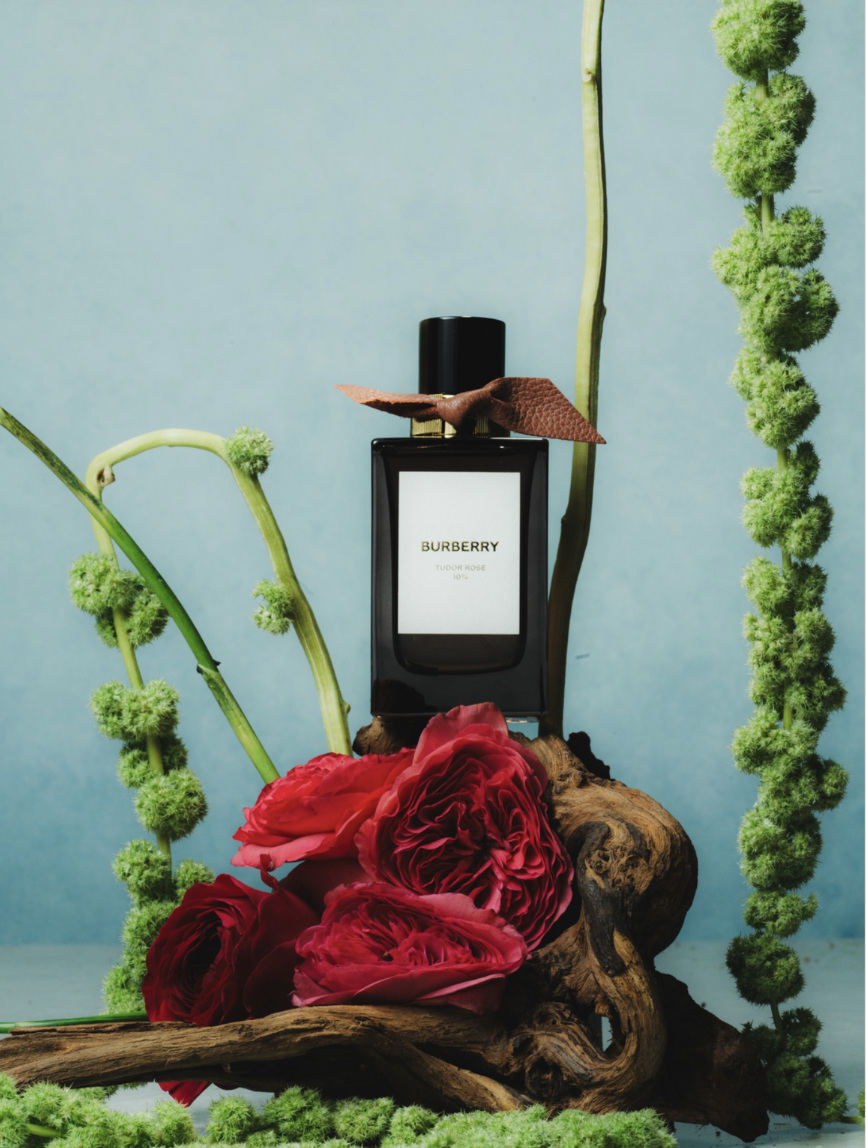 Screenshot 2025-10-31 at 9.57.07 AM.png