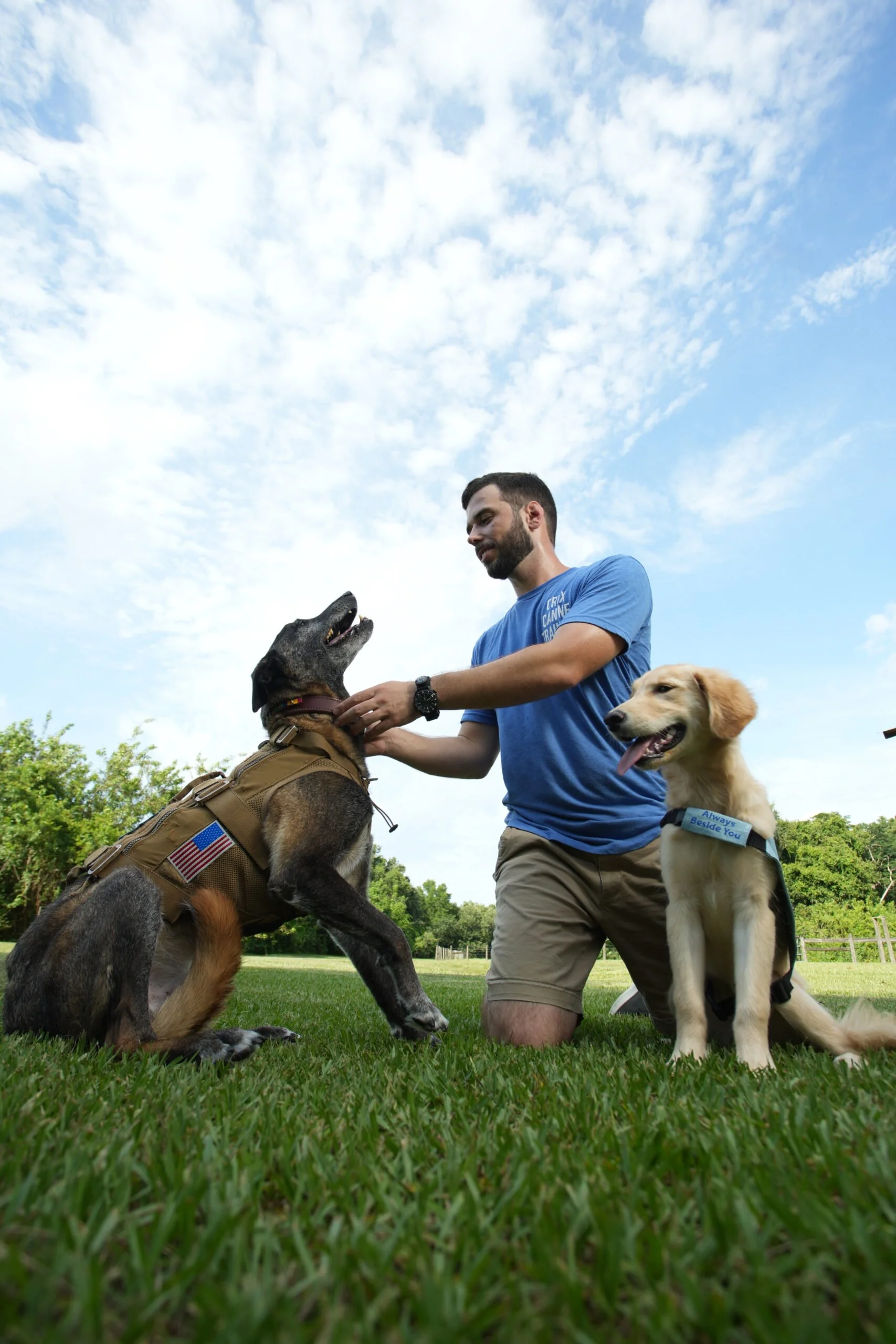 Inside SCSD's Service Dog Application Process
