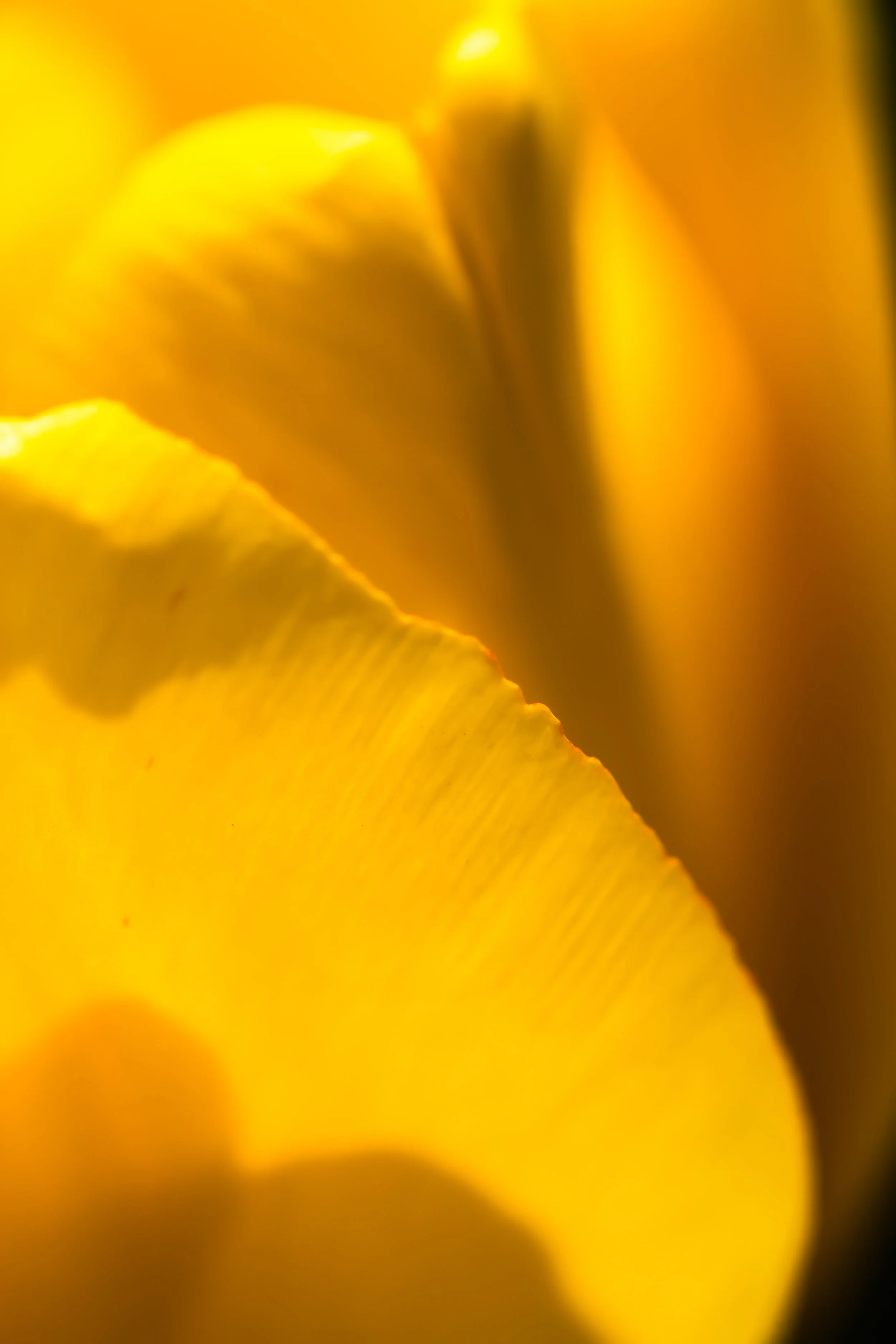 _MG_2677-Edit.jpg