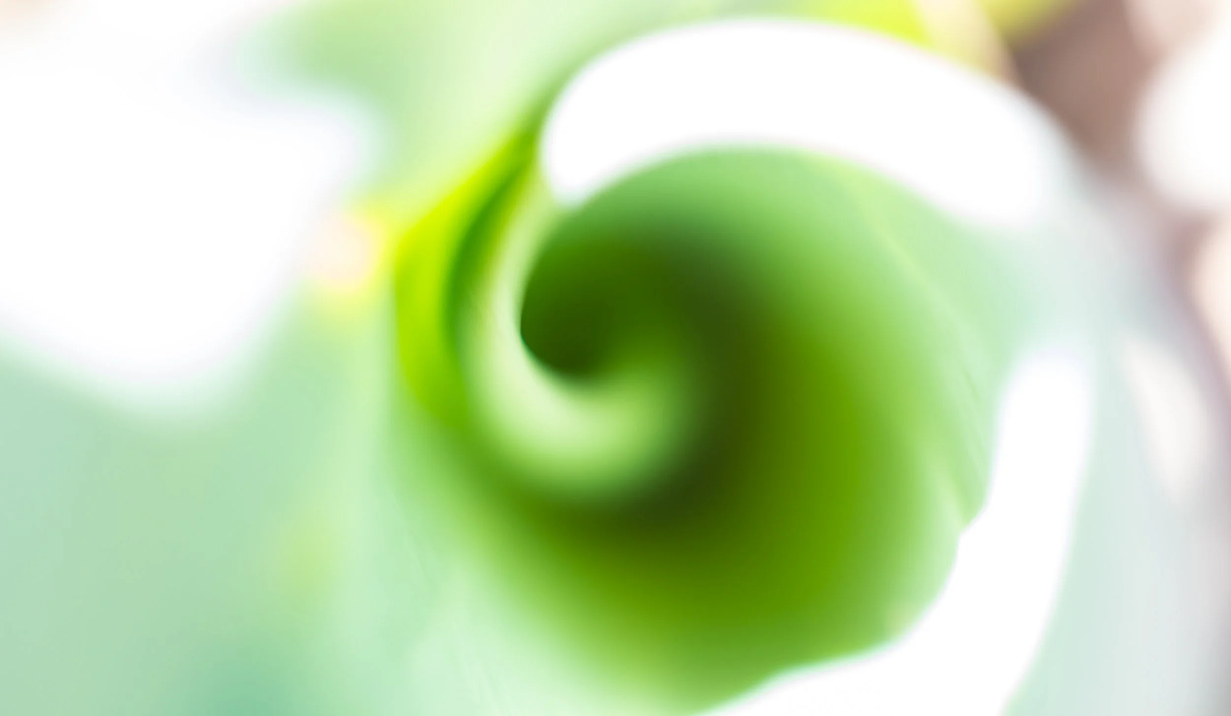 RollingSwirl.jpg
