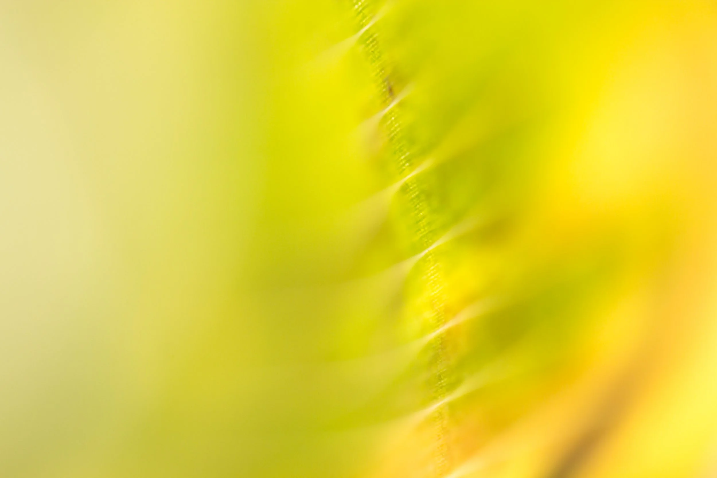 _MG_3049.jpg