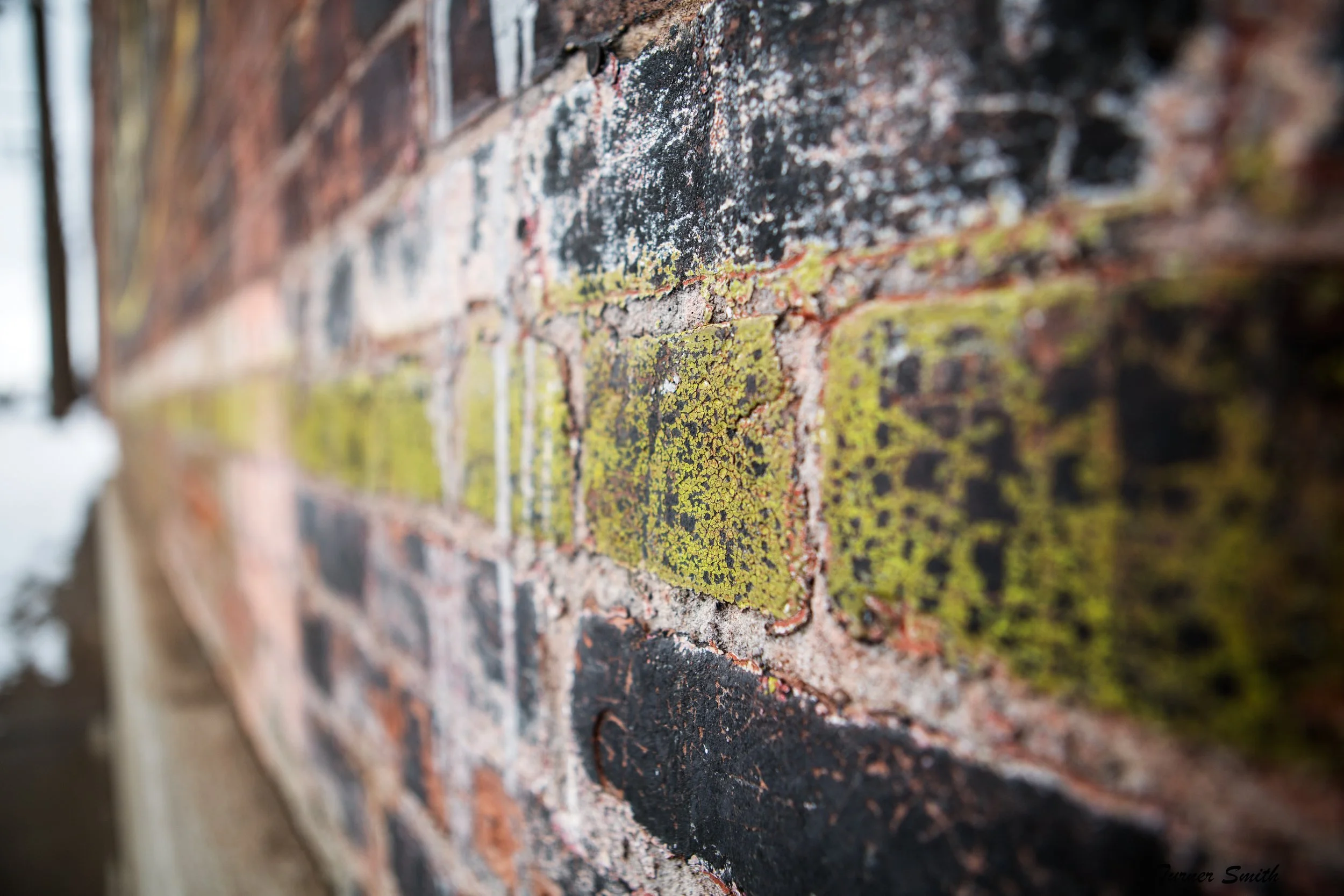 1N5A6345-Edit-Edit.jpg