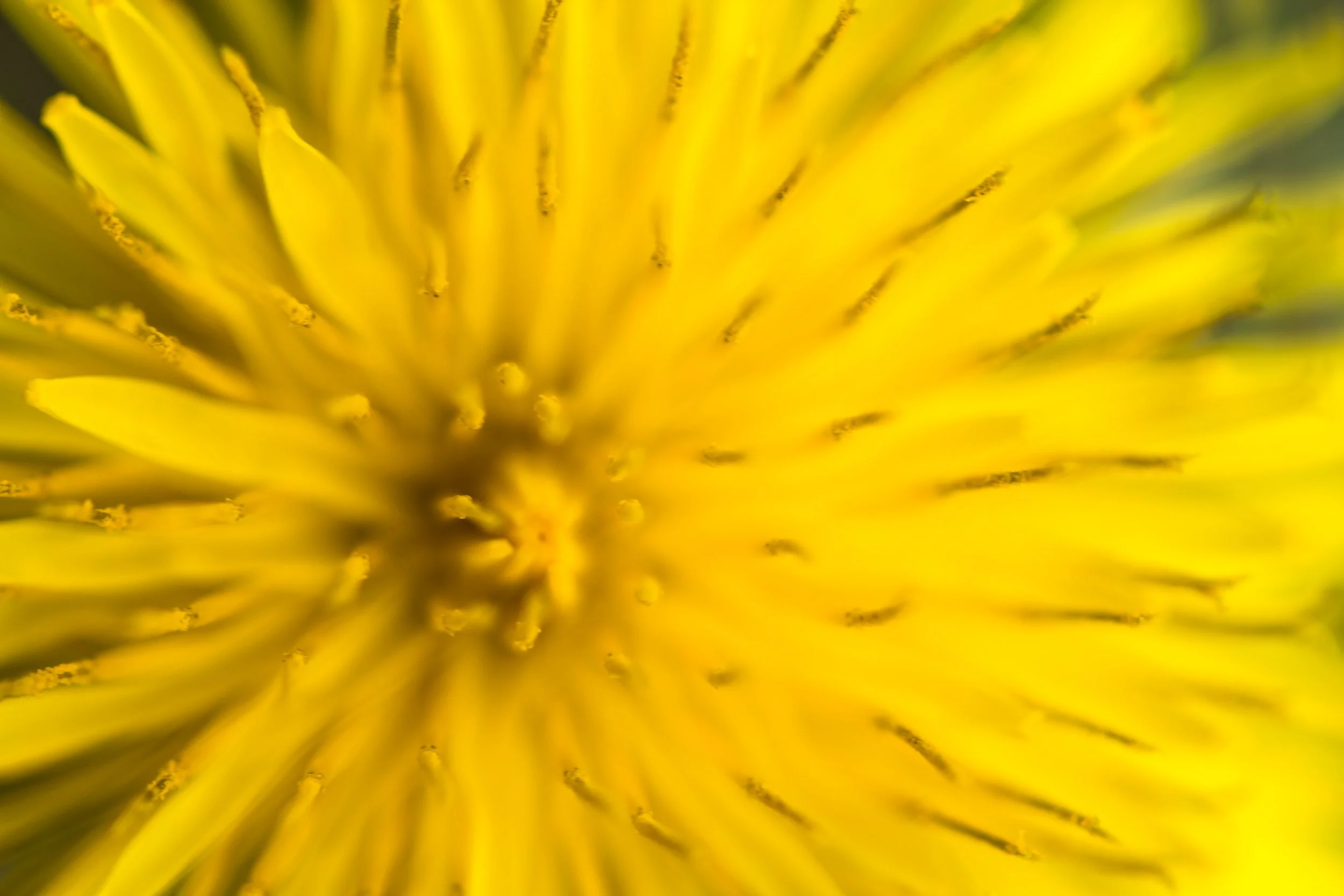 YellowExplosion.jpg