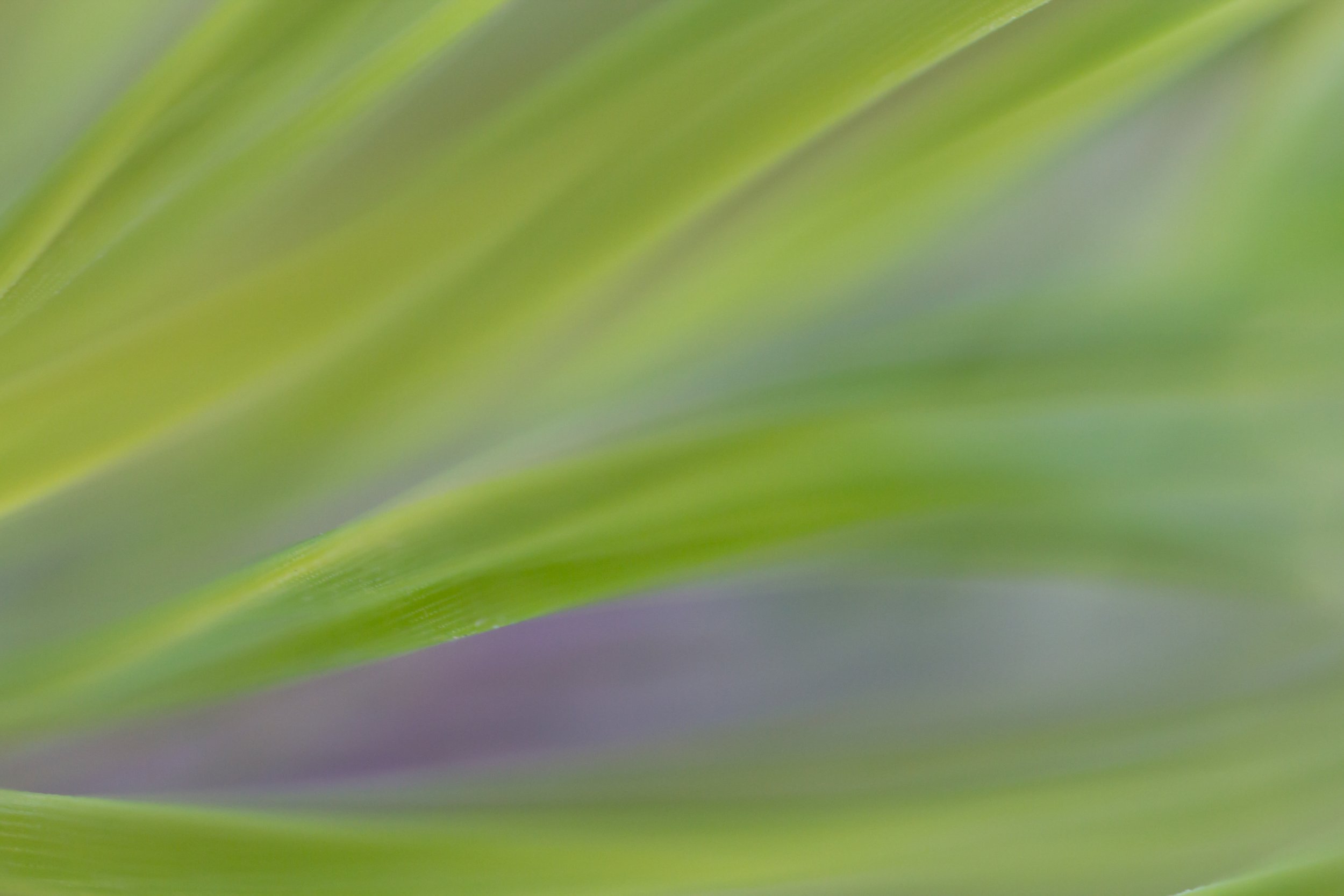 _MG_3034.jpg