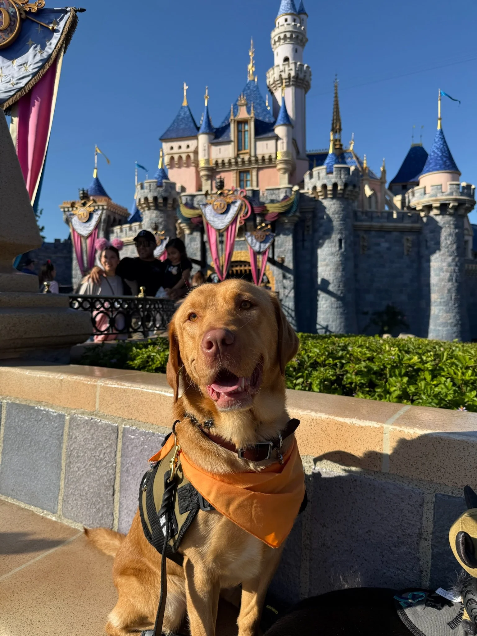 Nova Finds Her Mission.&nbsp;And Her Veteran.&nbsp;