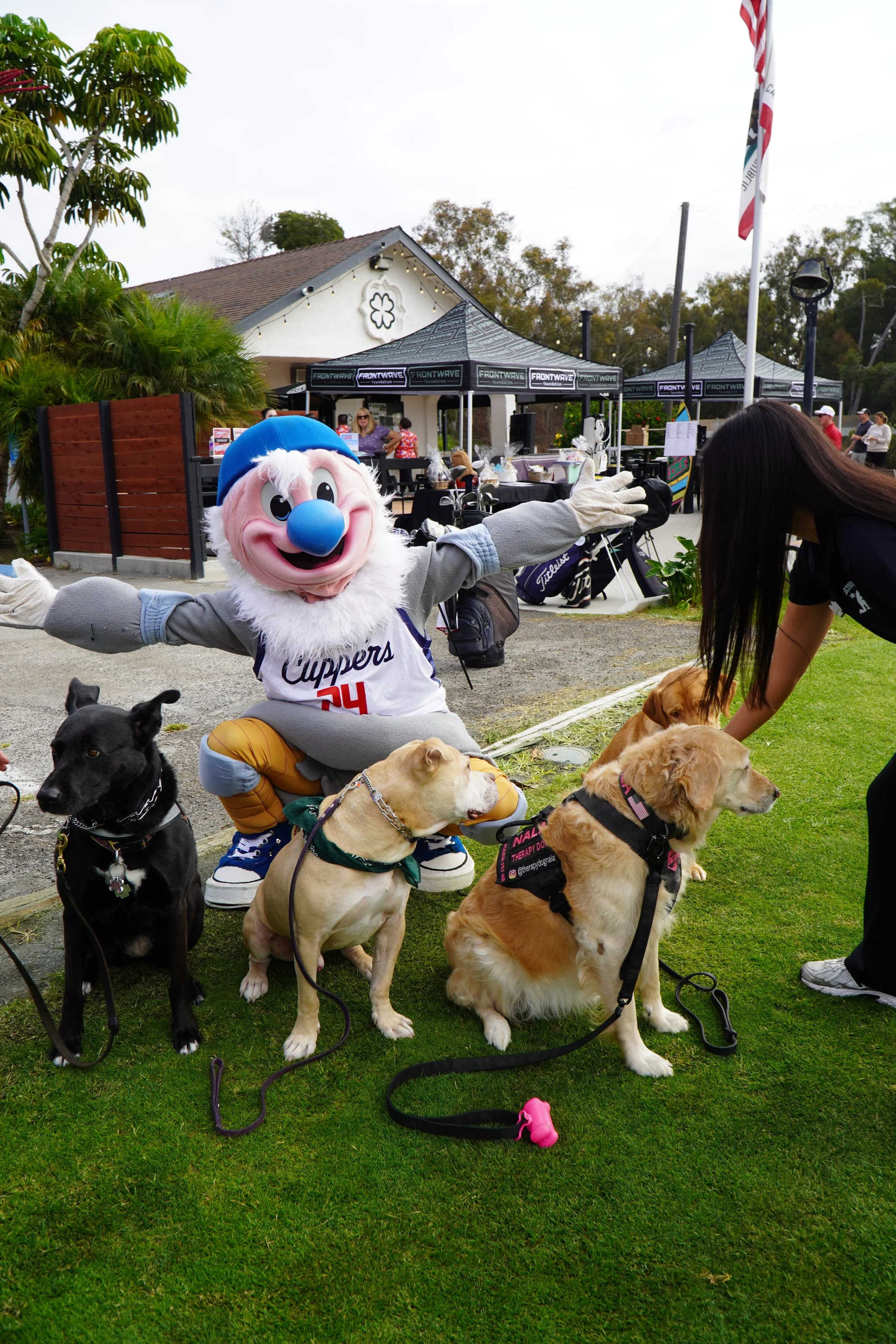 A person in a mascot costume with a large blue nose, wearing a Los Angeles Clippers basketball jersey, is crouching and extending their arms in a welcoming gesture while surrounded by several dogs on leashes. The scene is outdoors, on a grassy area n