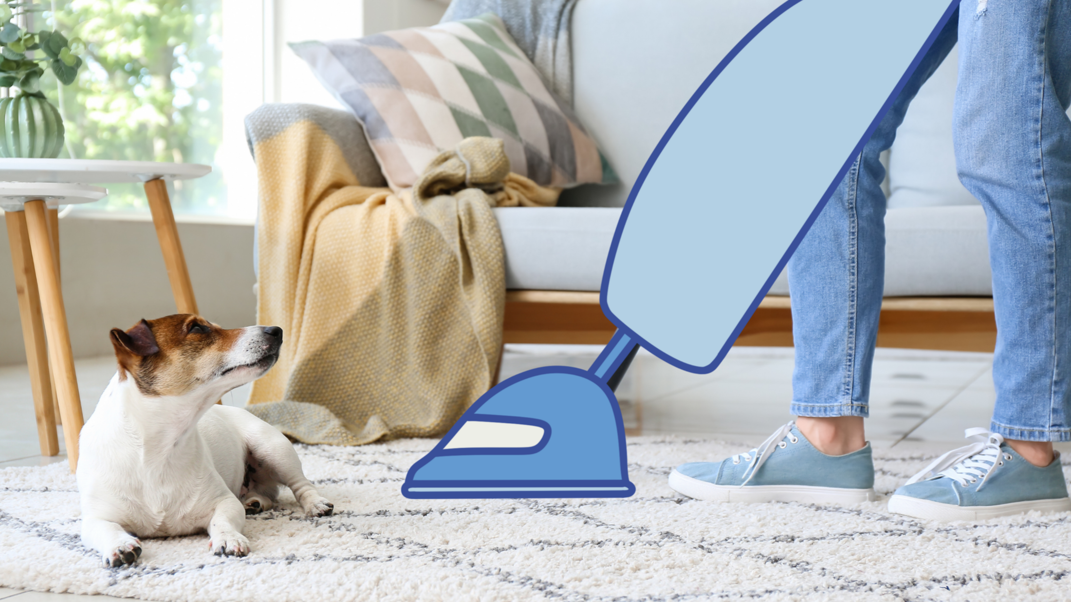 A person vacuuming a cream-colored carpet in a bright living room with a small dog sitting on the carpet, looking up at the vacuum cleaner.