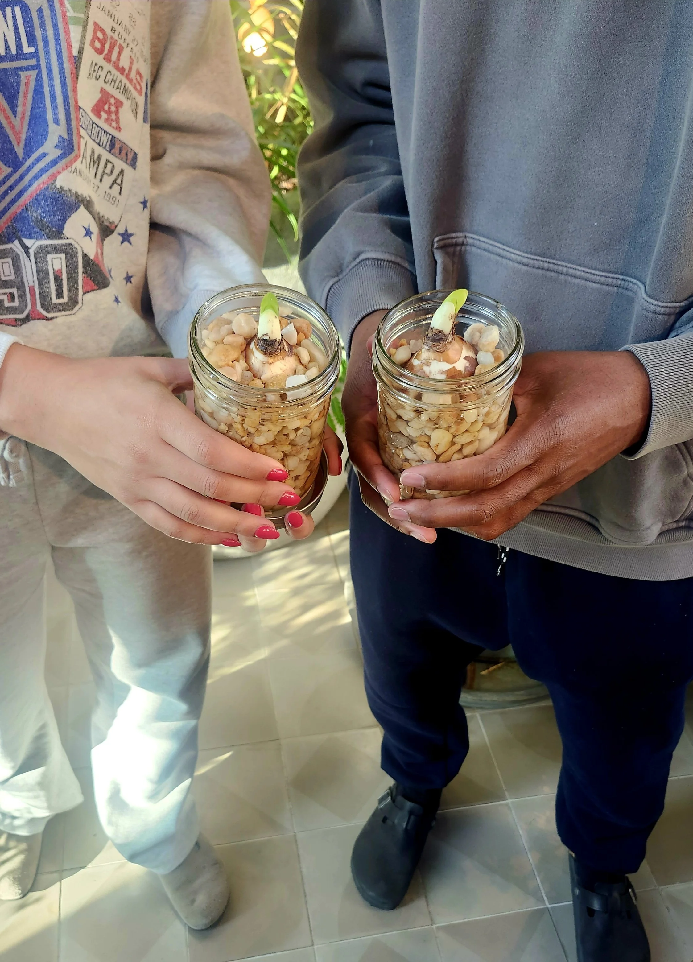 Planted Bulbs ready to take home from workshop