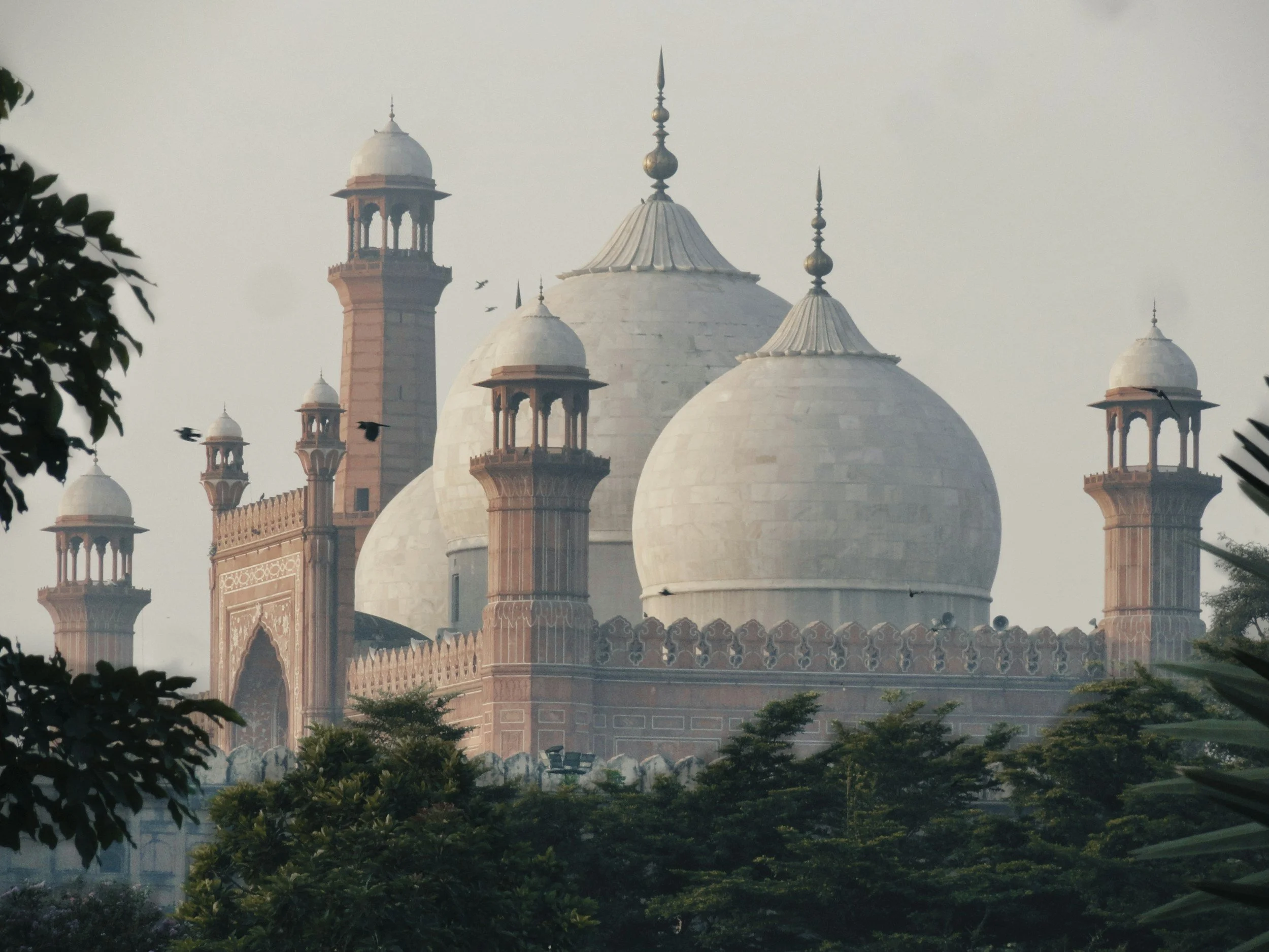 The Taj Mahal, an iconic white marble mausoleum with large domes and minarets, partially obscured by greenery in the foreground.