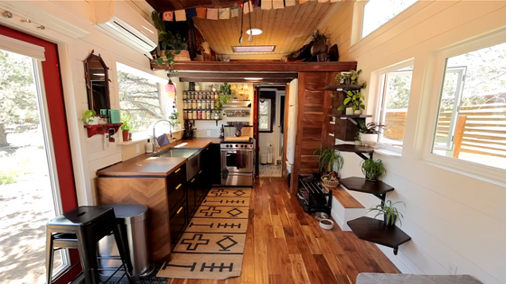 Interior view of a bright kitchen with wooden cabinets, open shelves with plants, and large windows letting in natural light.