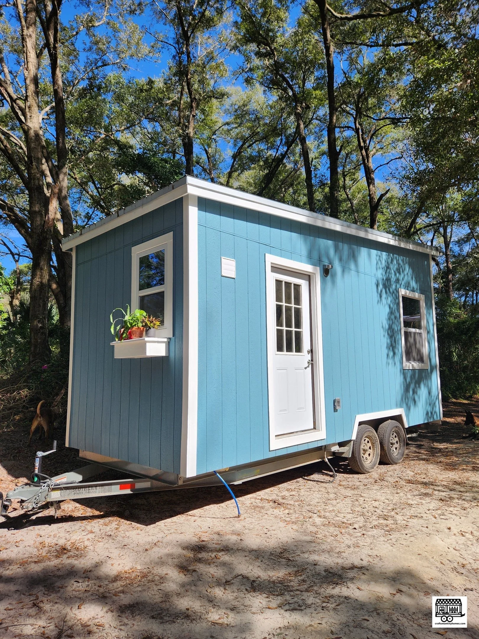 A blue tiny house on wheels with white trim, two windows, a door with window panes, and a small flower box, set in a wooded area under the trees.