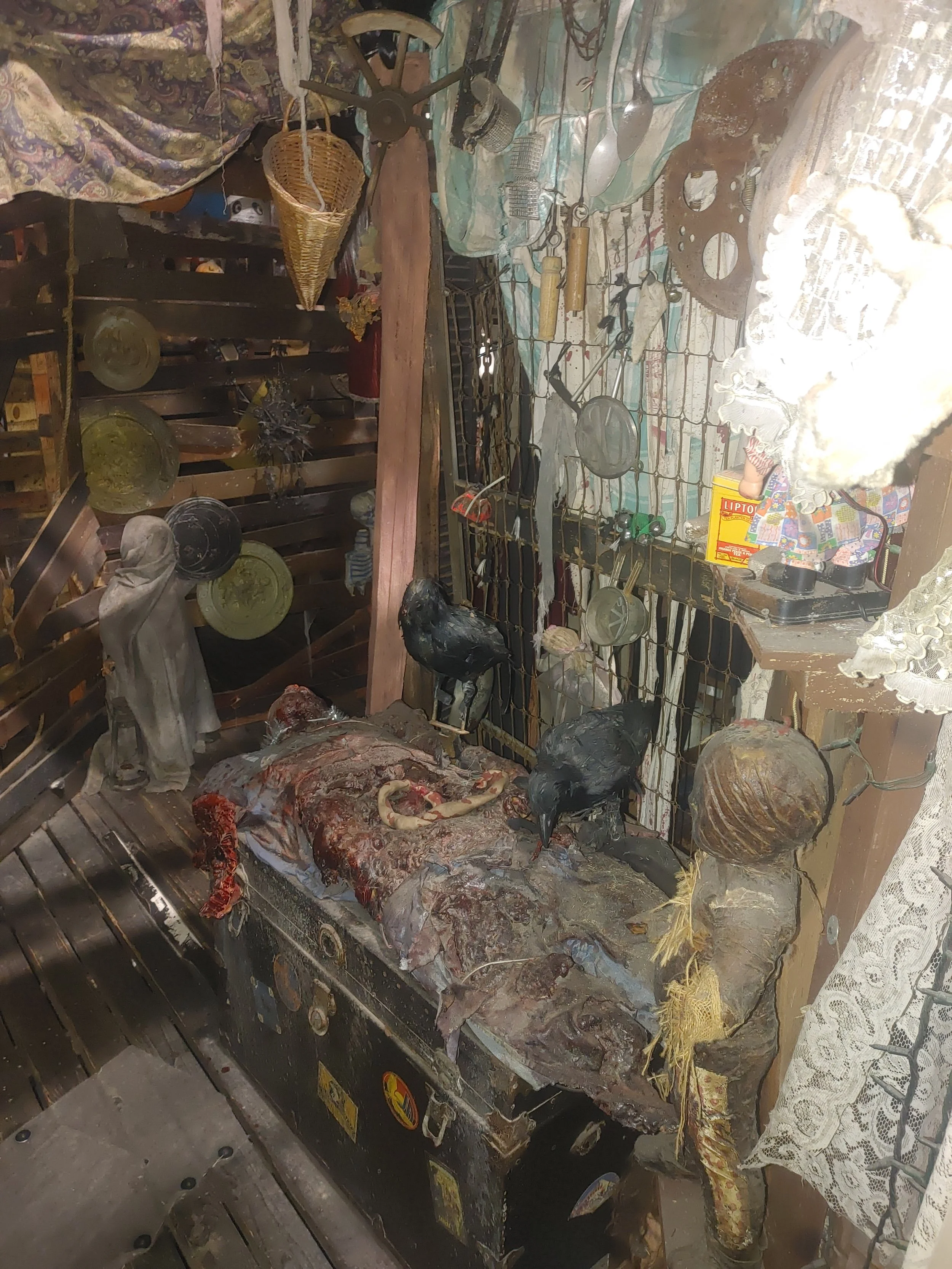 Gore In the attic.jpg