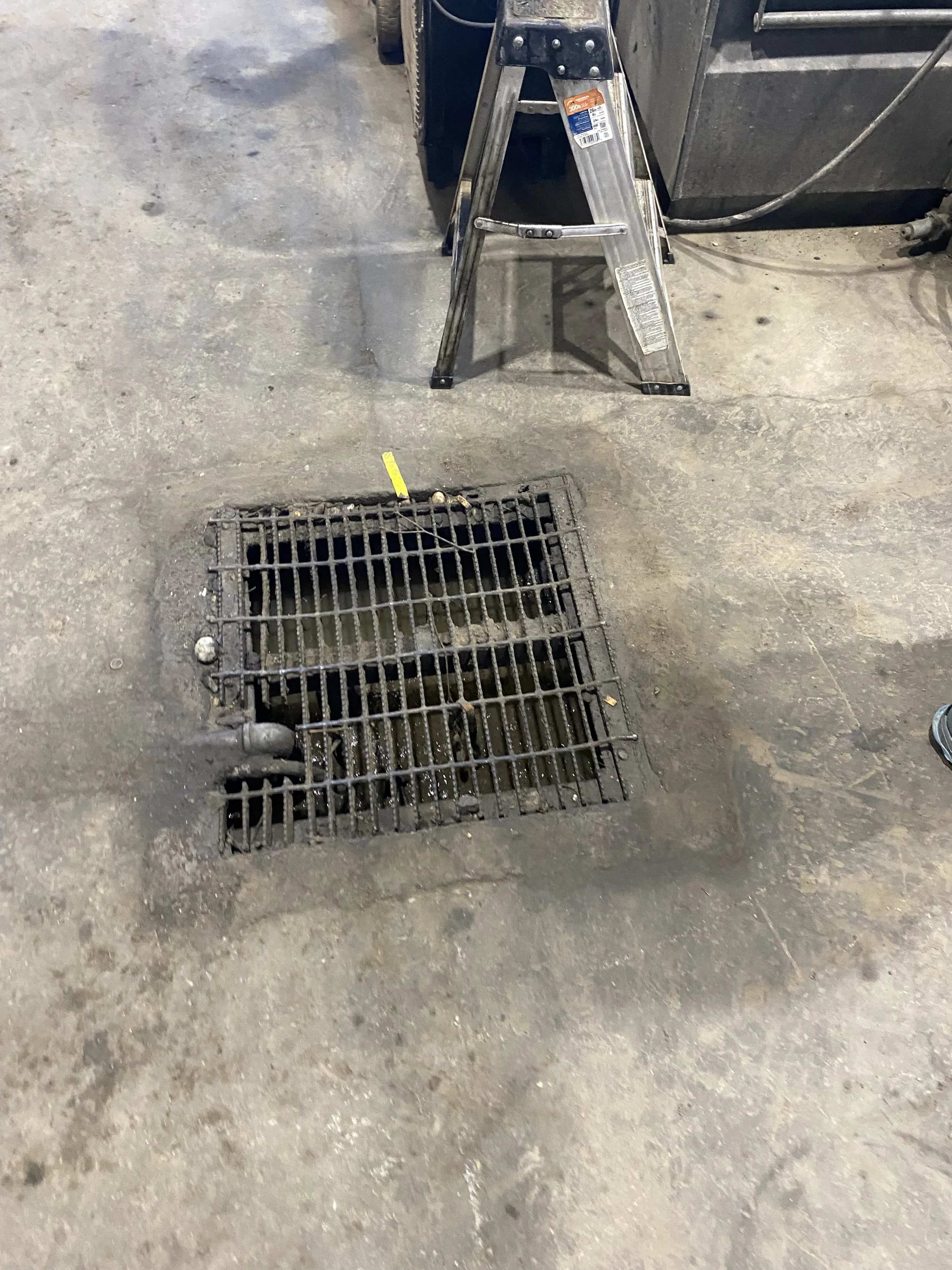 Photo Jul 19 2024, 11 25 57 AM.jpg