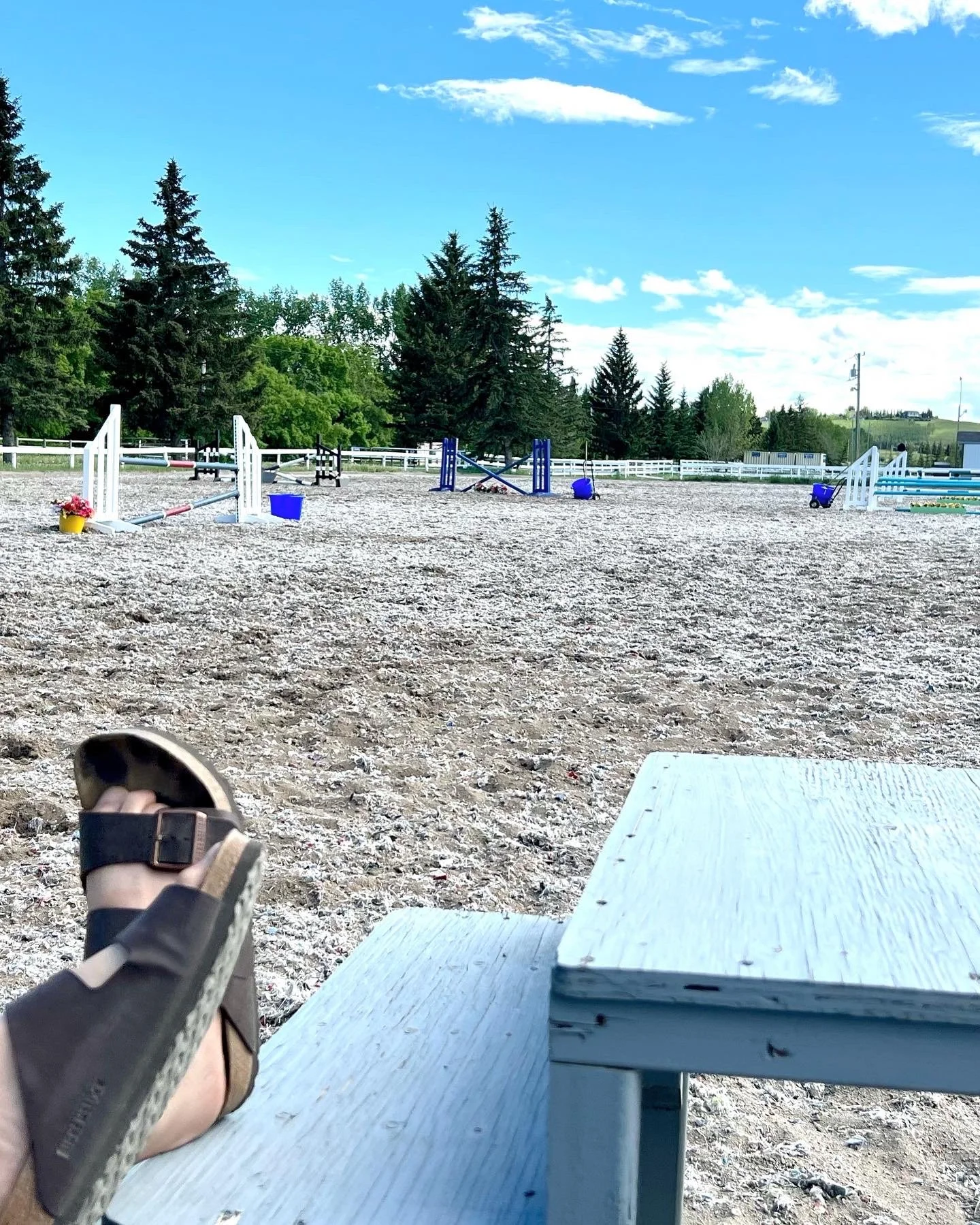 View of an outdoor horse riding arena with show jumps, surrounded by tall pine trees and a blue sky with white clouds; part of a person's foot in sandal is visible in the foreground, along with a white wooden table or bench.