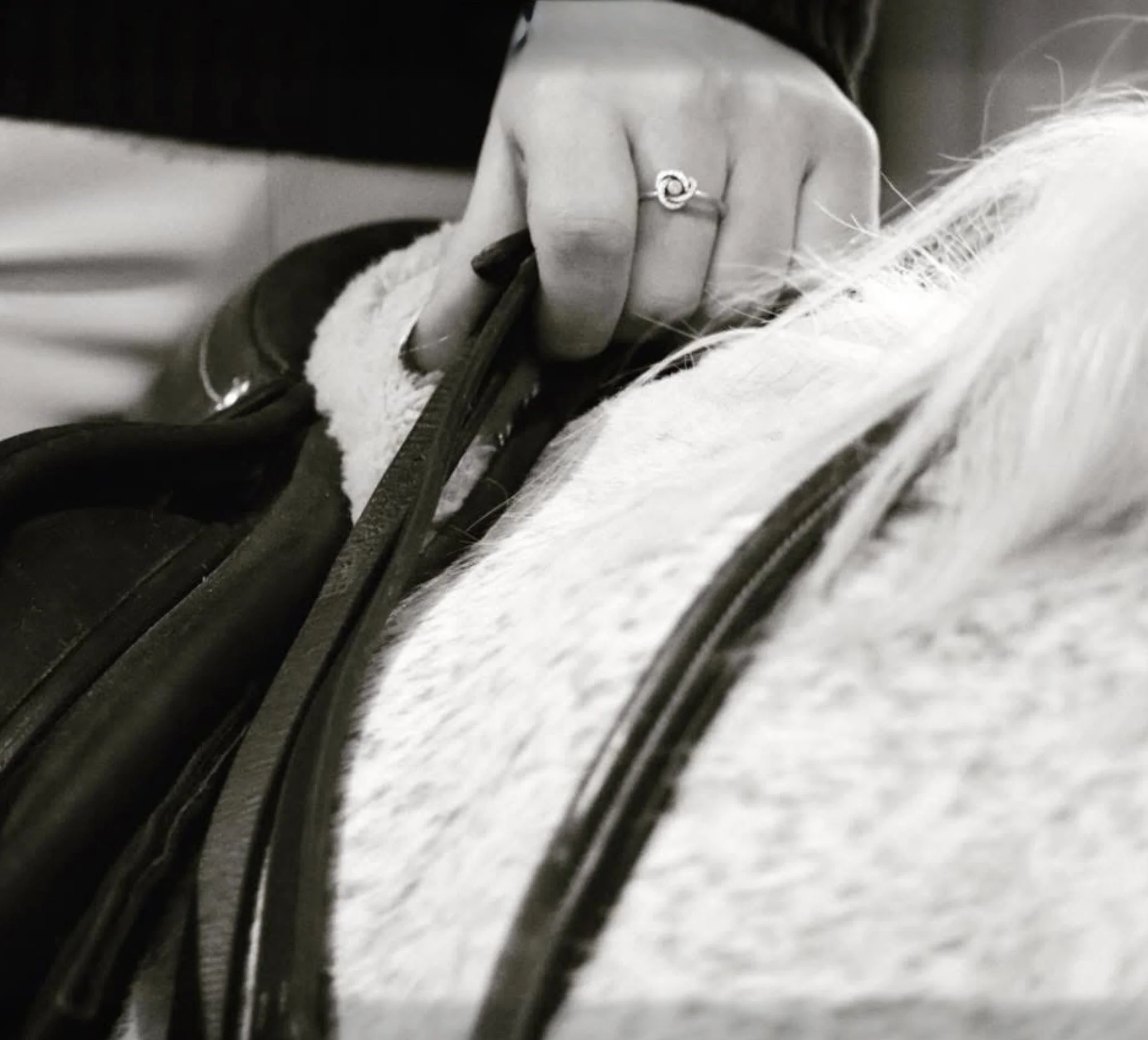 Close-up of a person's hand holding a grooming tool on a dog's fur.