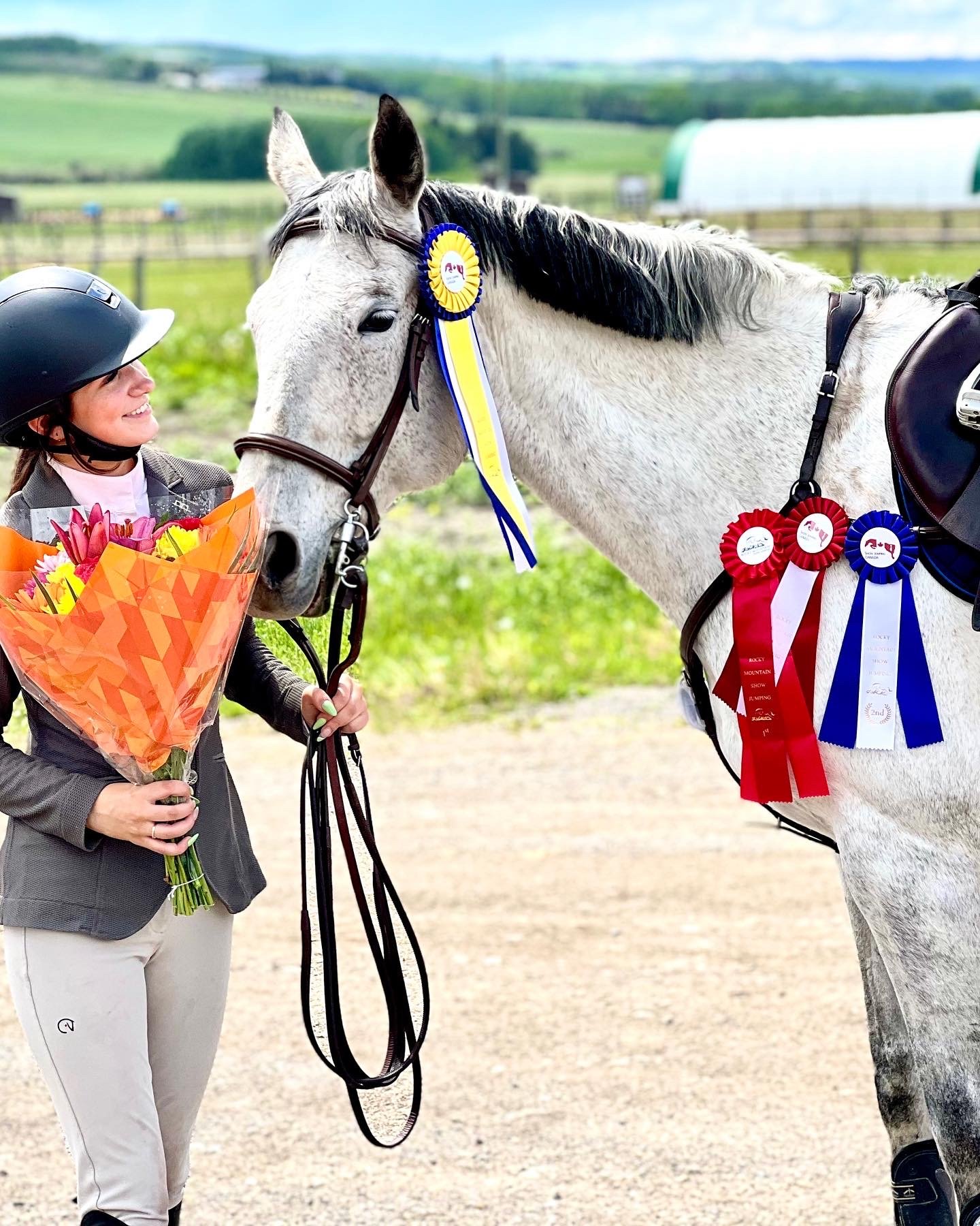 A woman in riding gear holding a bouquet of flowers smiles at a white horse with a black mane, decorated with blue and red award ribbons. The woman and horse are outdoors in a rural setting with green fields and fencing.
