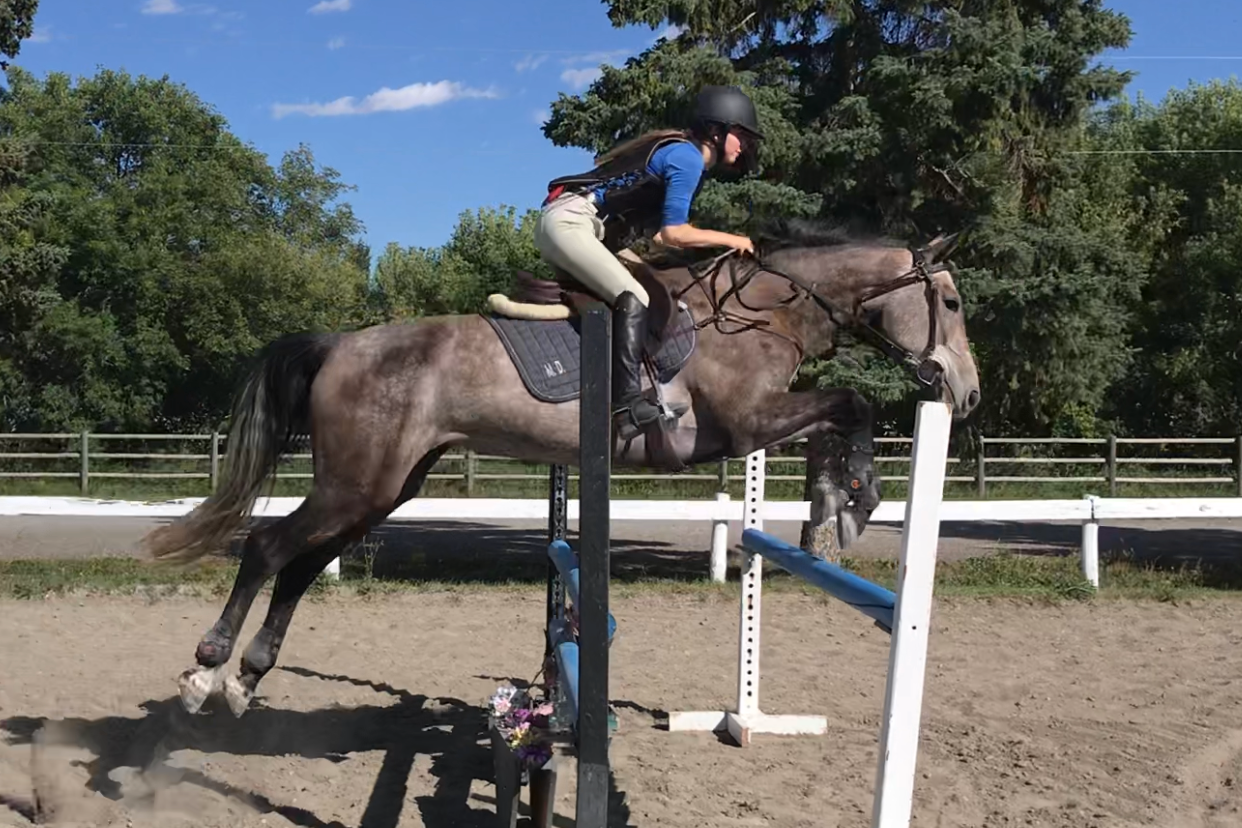 A person riding a horse and jumping over a blue and white obstacle in an outdoor equestrian arena on a sunny day.