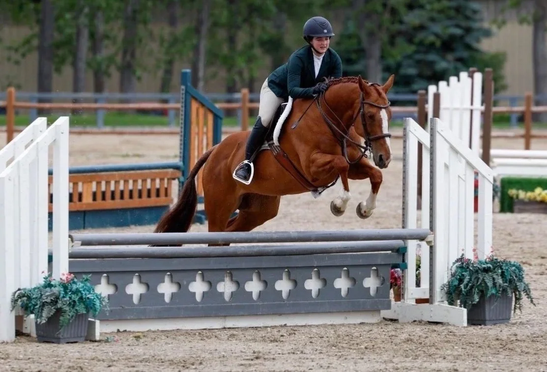 A person riding a brown horse jumps over an obstacle at an equestrian competition.