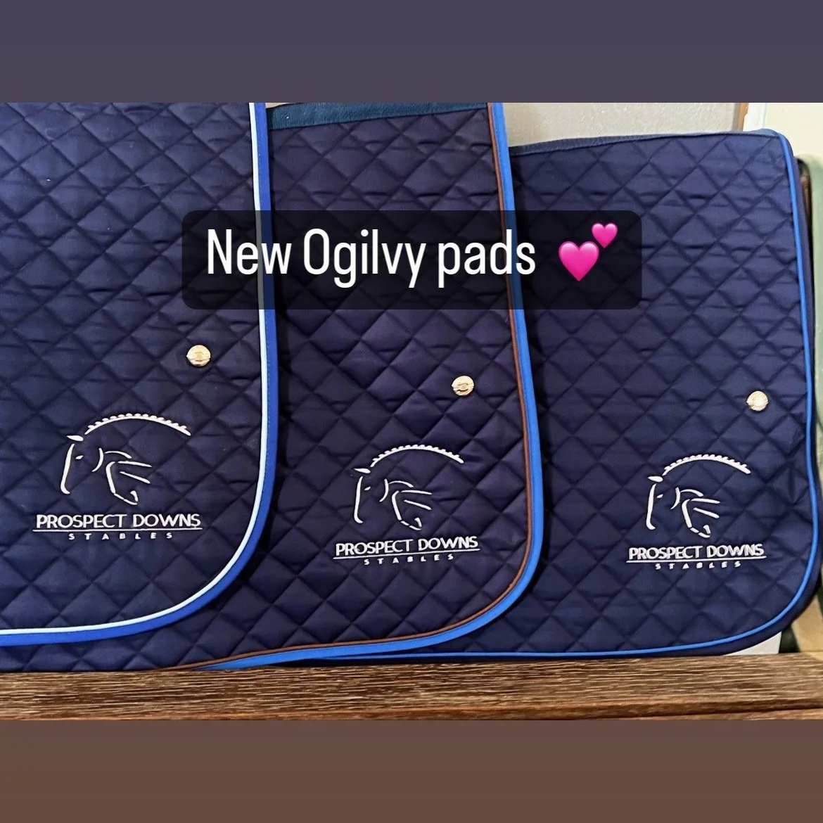Three navy blue quilted saddle pads with the Prospect Downs Stables logo, each outlined with different colored piping, on a wooden surface.
