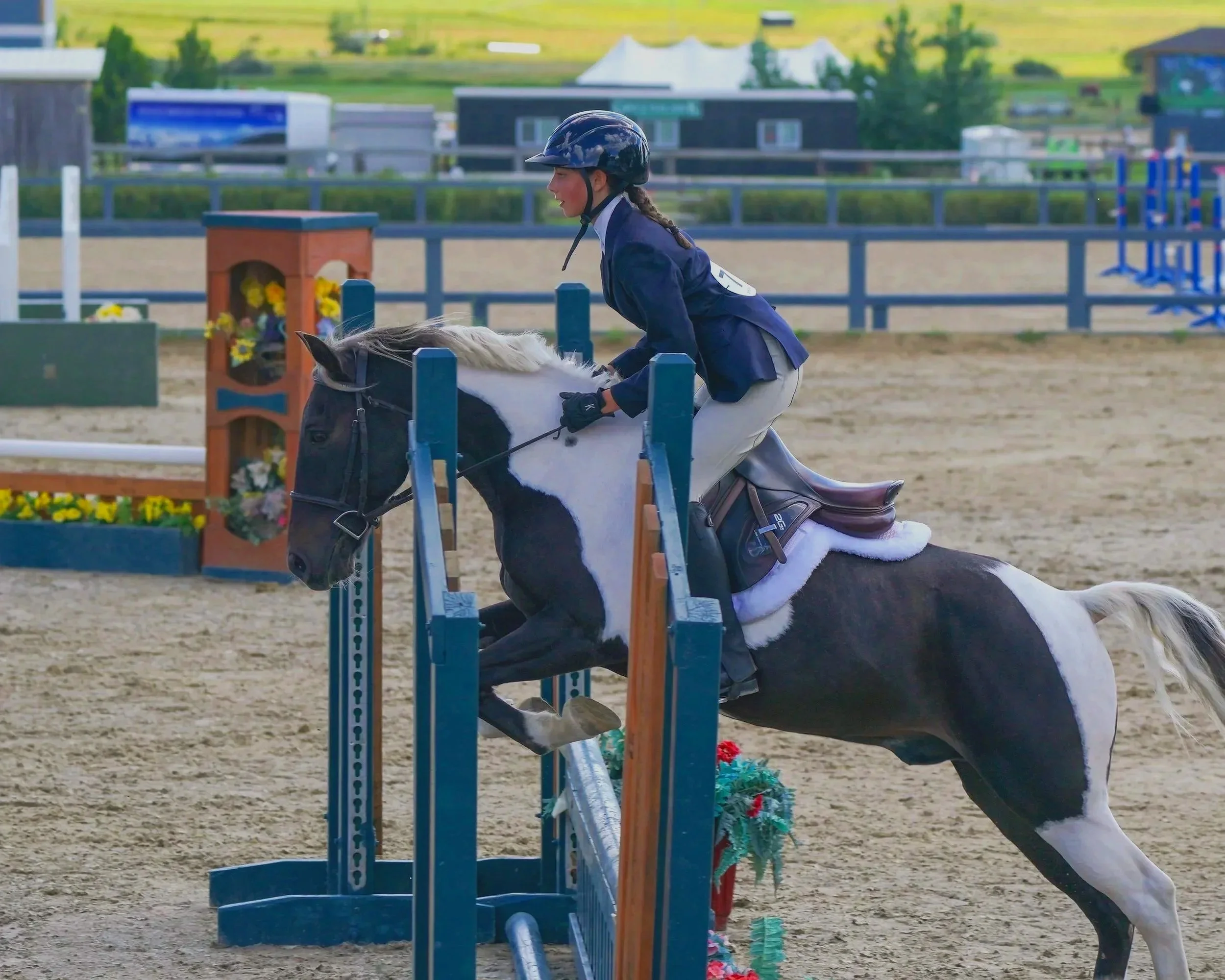 A young girl riding a black and white horse in an outdoor equestrian arena, jumping over a colorful obstacle during a competition.