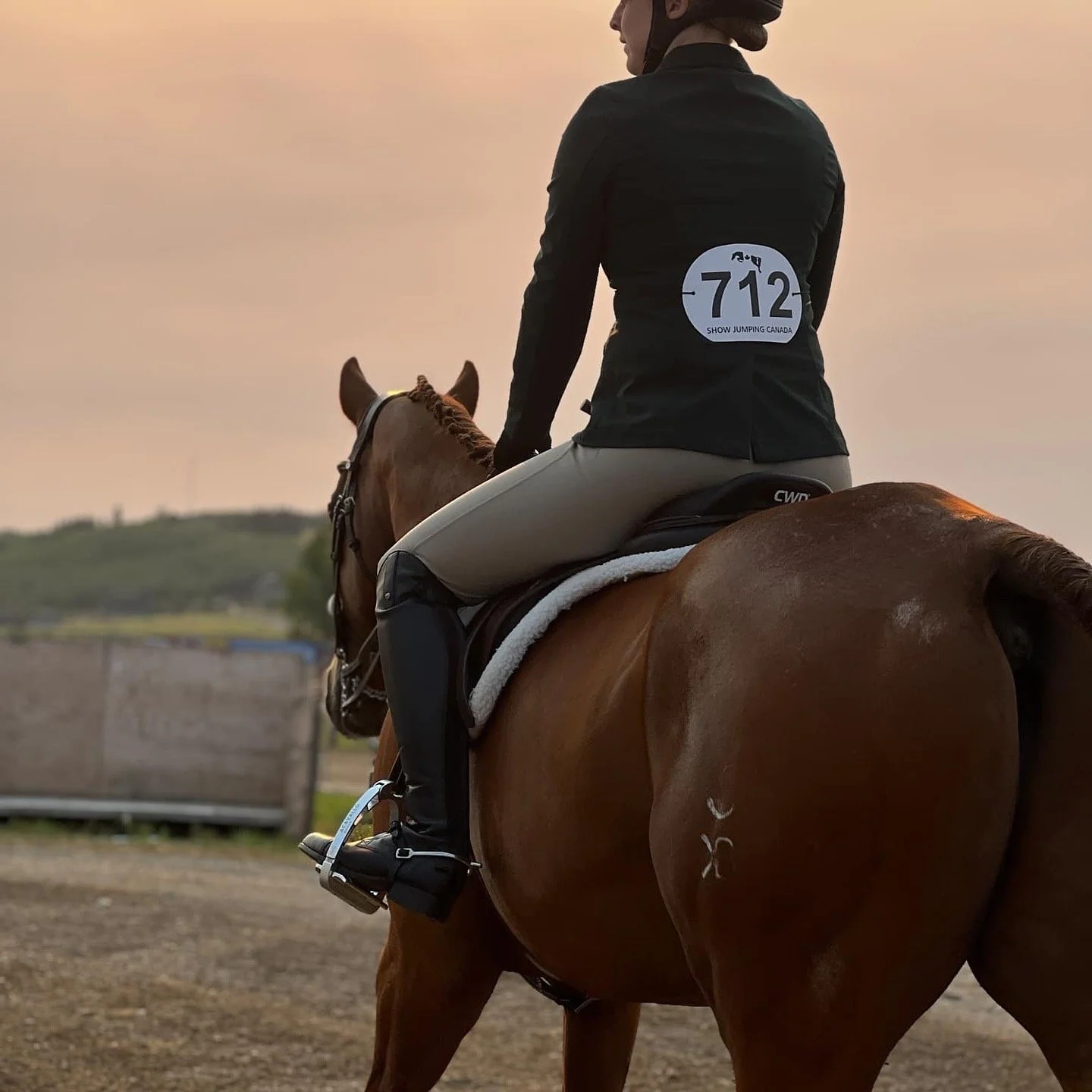 A person riding a brown horse outdoors during sunset, wearing a black jacket, beige riding pants, and a helmet, with a show jumping Canada rider number attached to their back.